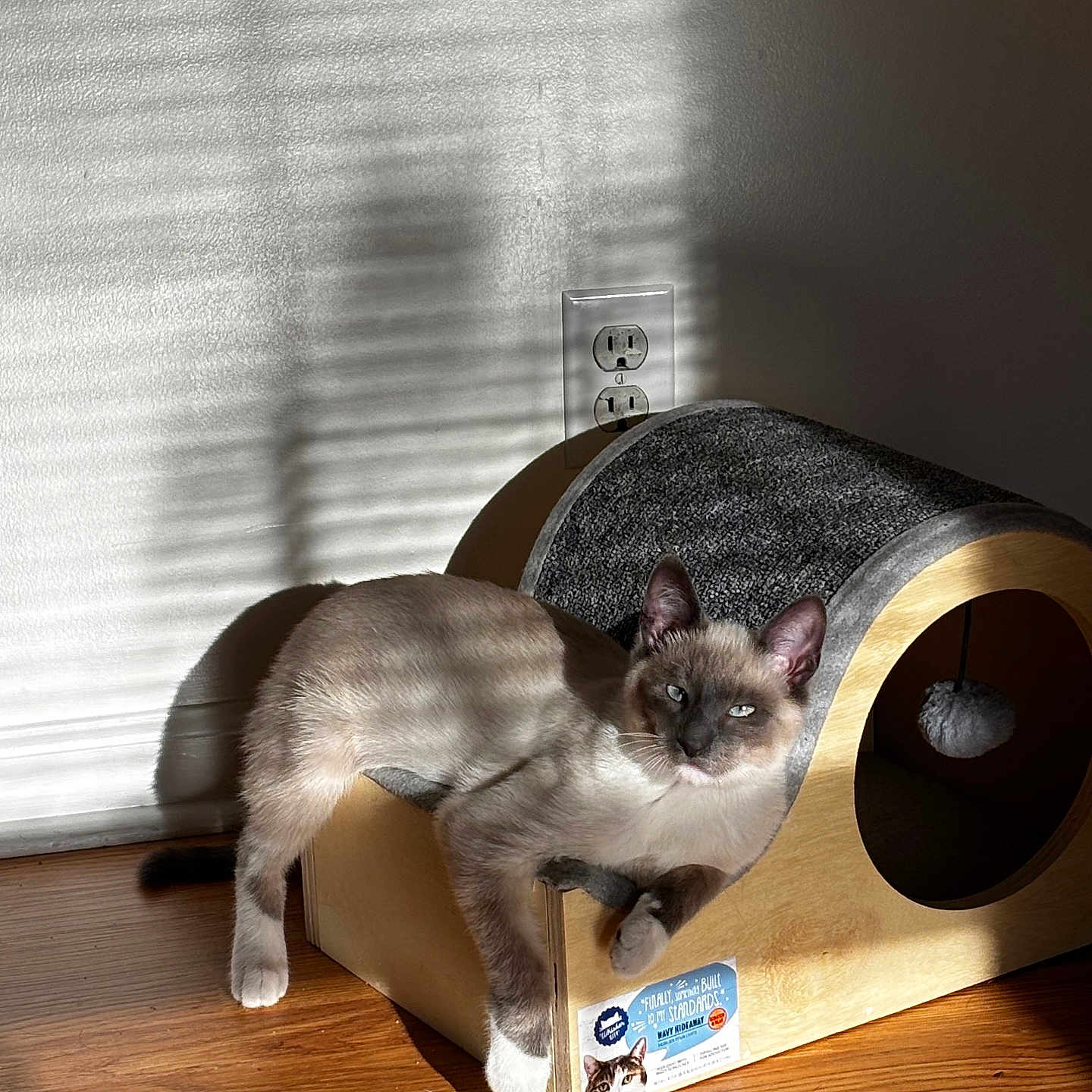 Sol