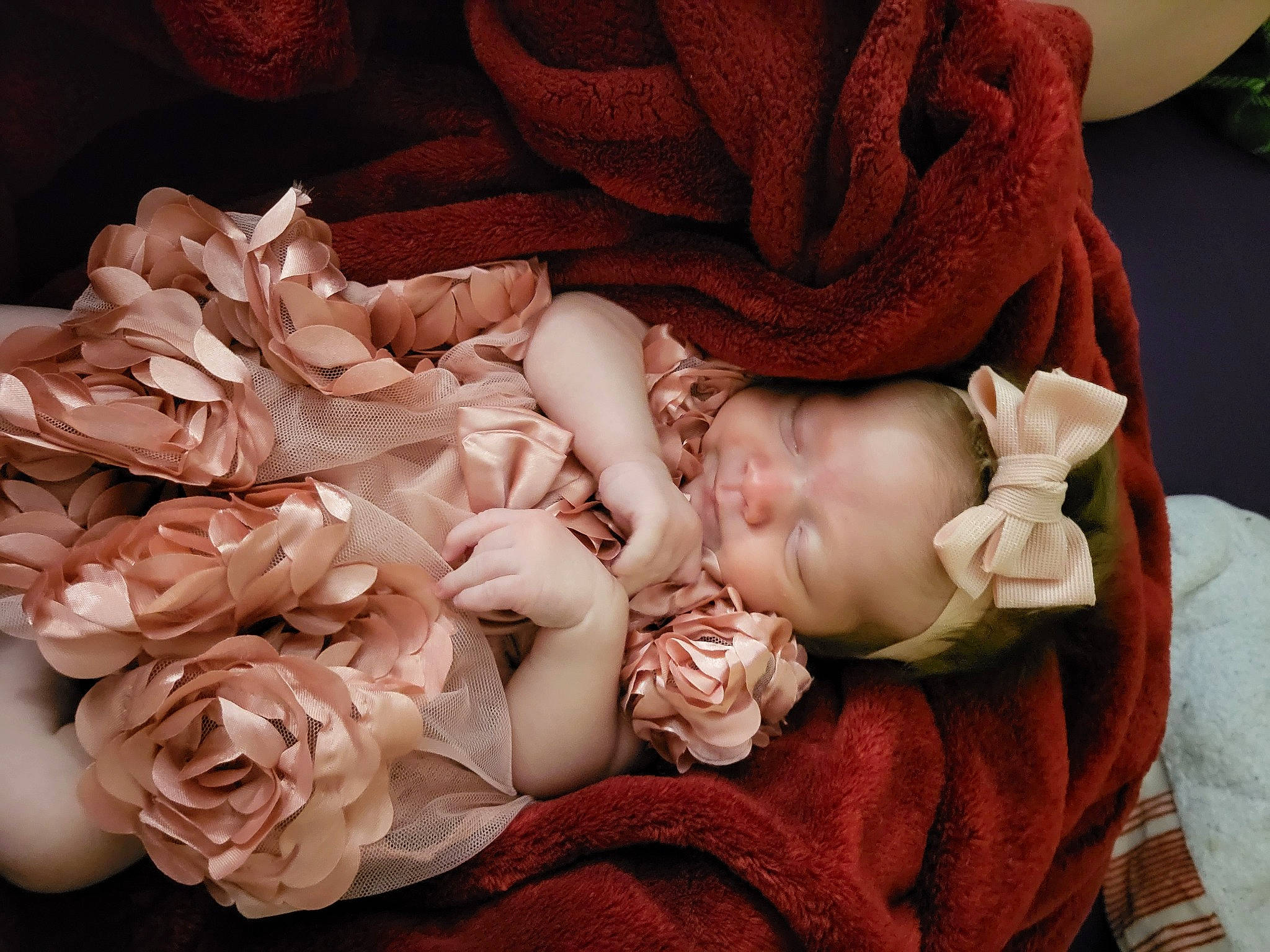 Angelina joined the competition — help win amazing prizes! baby, baby_toddler_clothing, bouquet, child, comfort, cut_flowers, flower, flower_arranging, garden_roses, hair_accessory, hand, headpiece, peach, person, petal, pink, plant, rose, rose_family, skin