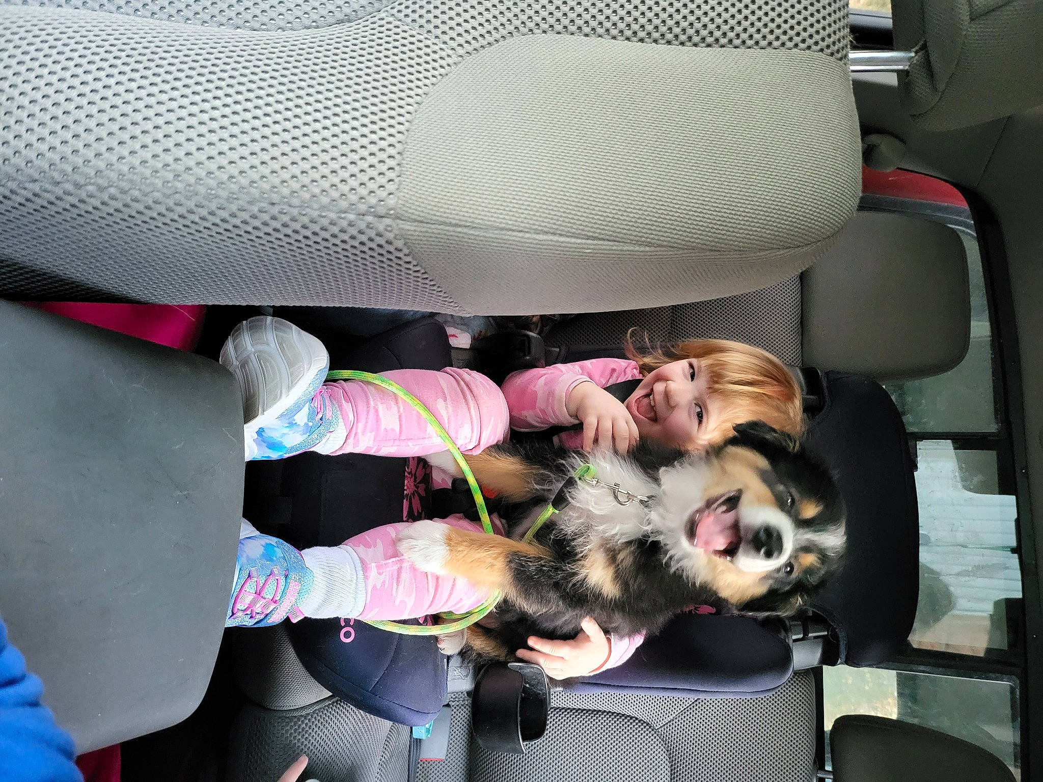 Spirit joined the competition — help win amazing prizes! auto_part, automotive_design, automotive_exterior, baby_products, car, car_seat, car_seat_cover, child, comfort, companion_dog, family_car, fun, head_restraint, luxury_vehicle, mammal, motor_vehicle, personal_luxury_car, toddler, vehicle, vehicle_door