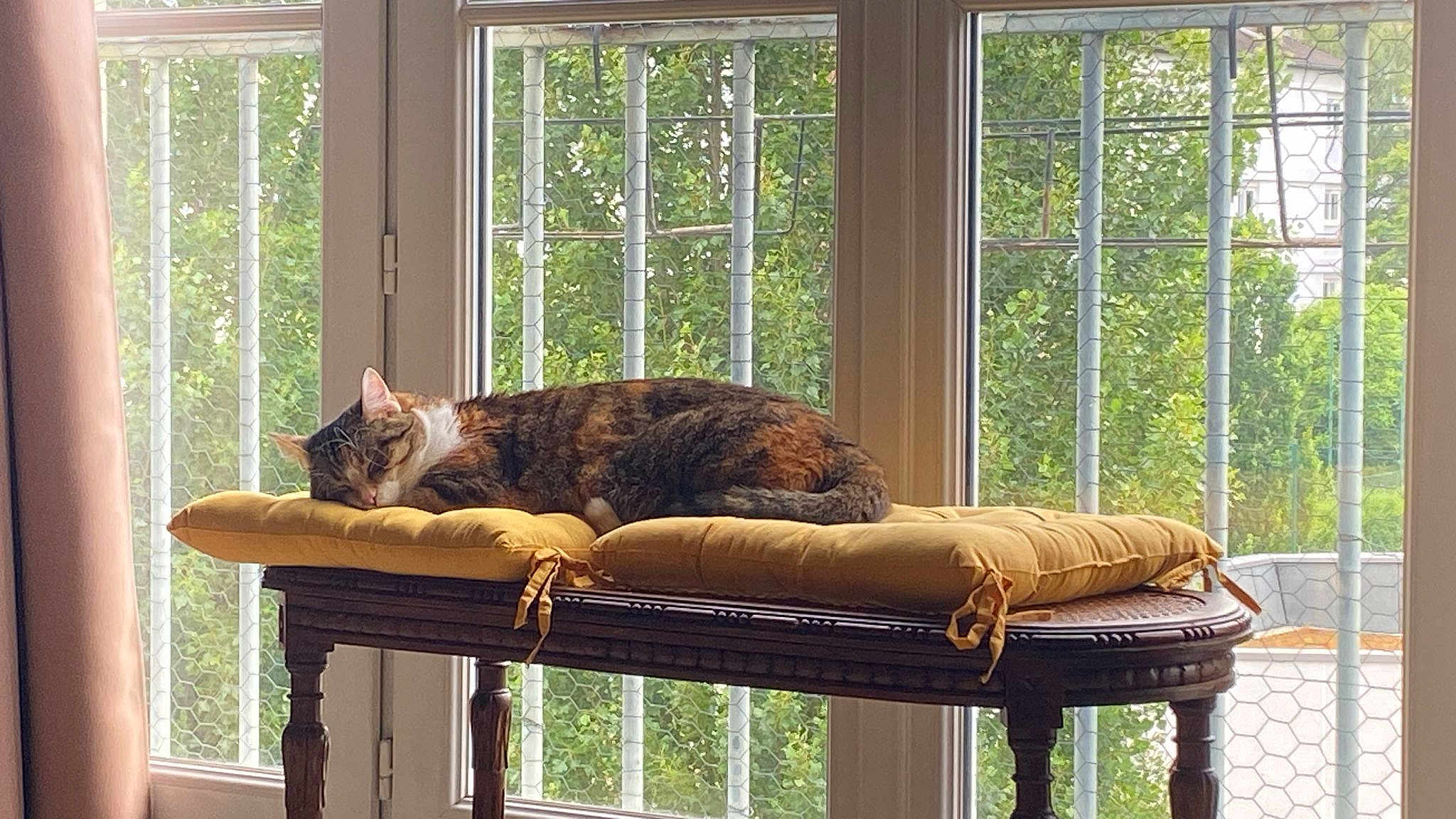 Sunny