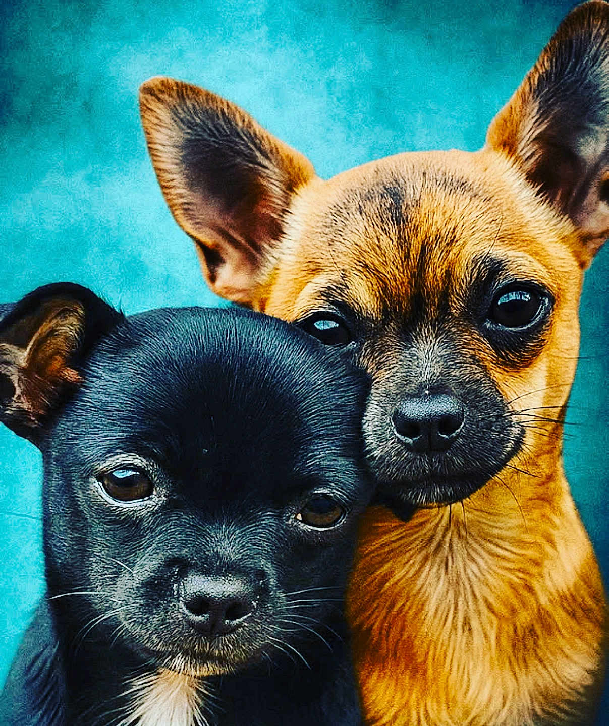 Aïko Et Groot