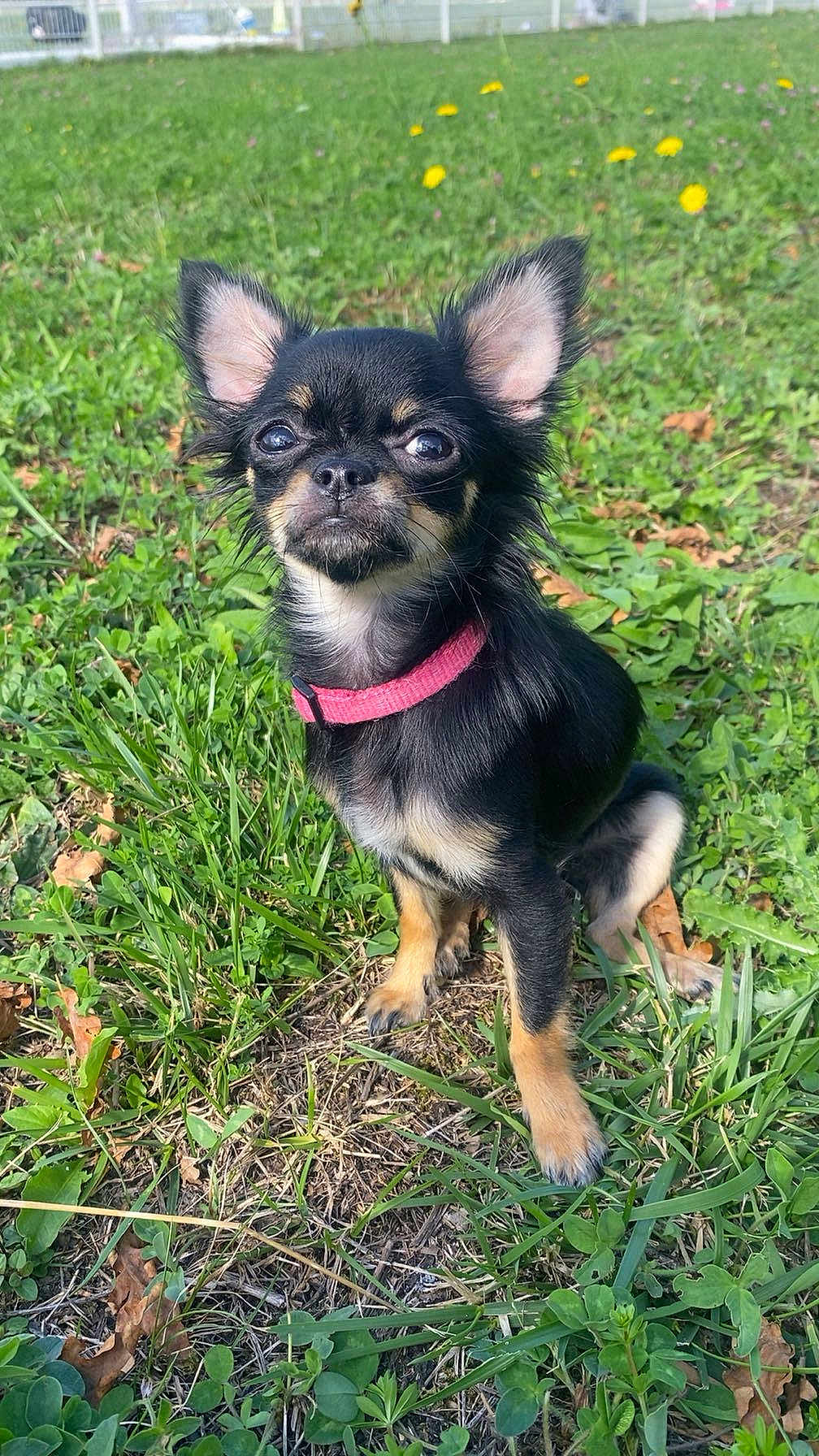 Minnie