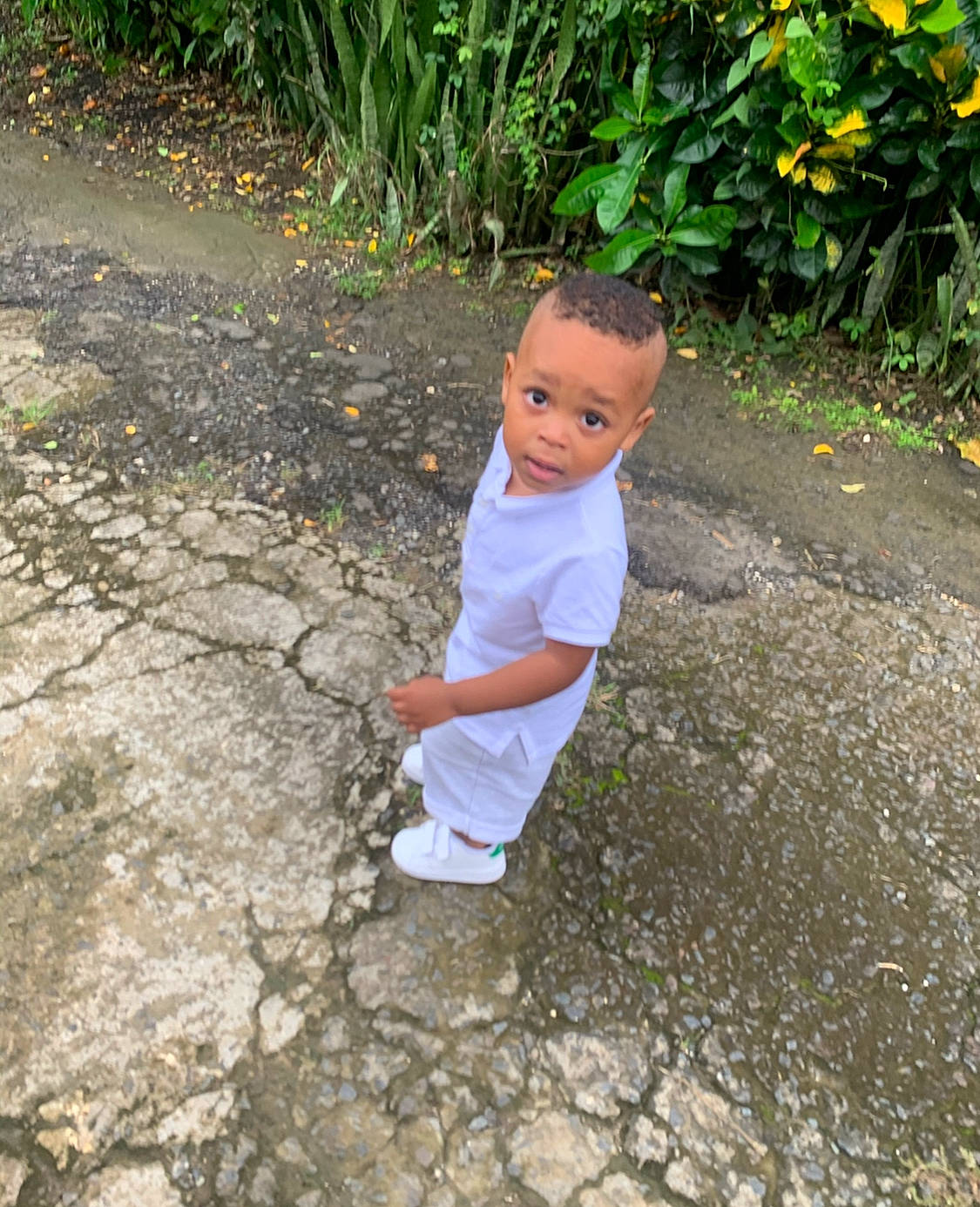 Lenny a rejoint le concours — aidez-le/la à gagner de superbes lots ! baby, baby_toddler_clothing, child, grass, groundcover, person, shrub, toddler