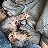 Jack Jack is registered to the contest to win money with this photo: animal, blanket, blue_blanket, cat, close_up, comfort, cozy, feline, grey_shirt, hairless_cat, indoor, nap, person, pet, relaxation, resting, skin, sleeping, sphynx_cat, wrinkles