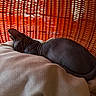 animal, blanket, cat, close_up, comfort, cozy, furniture, hairless_cat, indoor, orange_chair, pattern, pet, quiet, relaxing, resting, sleeping, soft_texture, sphynx_cat, warm_light, woven_chair