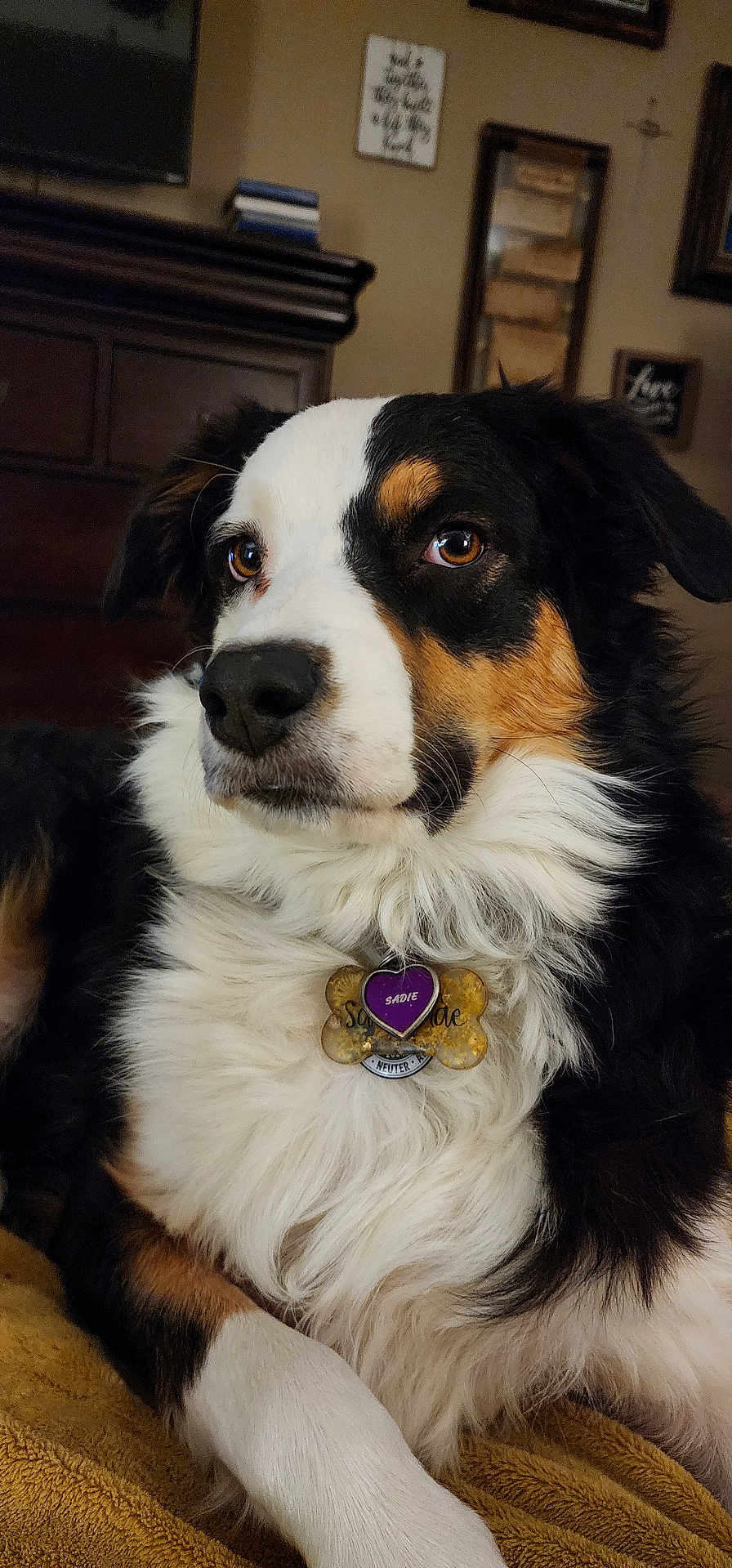 Sadie Mae
