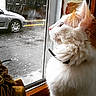 Louna participe au concours pour gagner de l'argent avec cette photo :