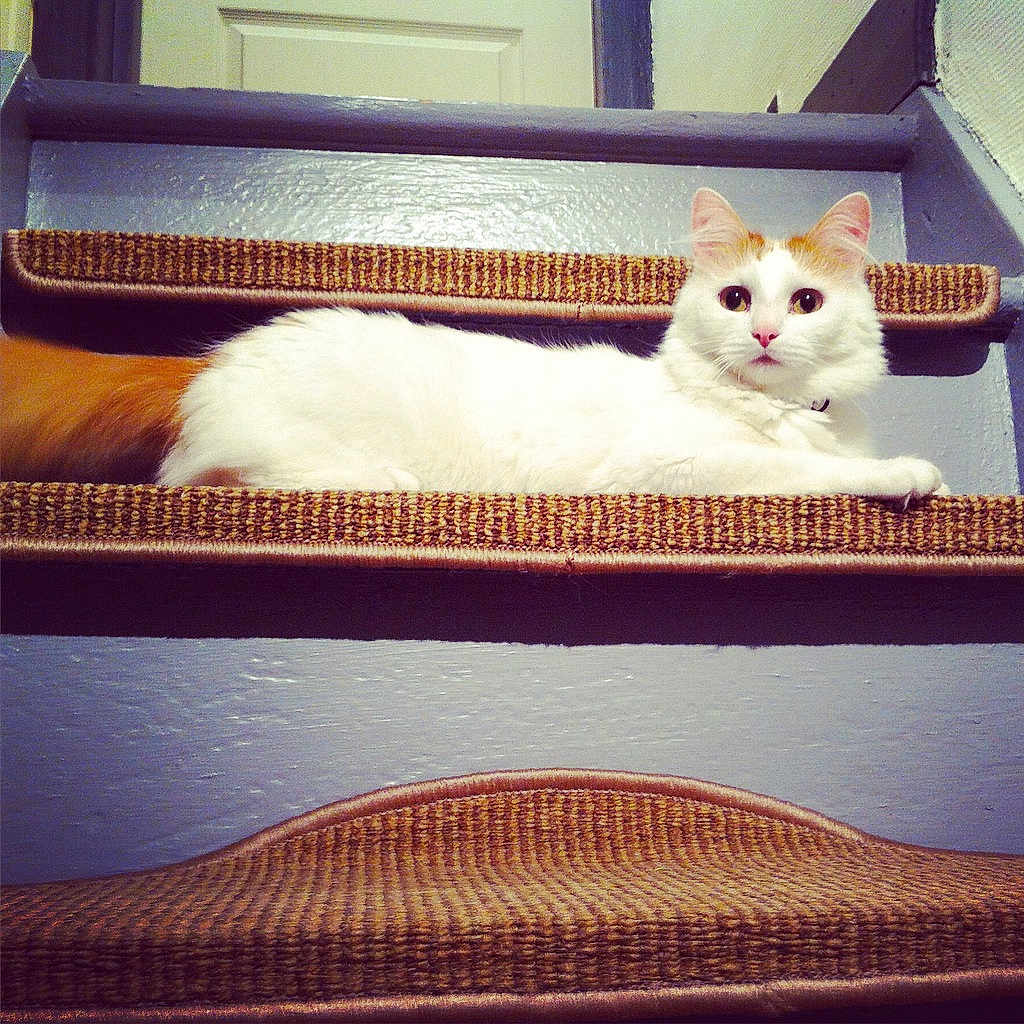 Louna