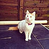 Louna participe au concours pour gagner de l'argent avec cette photo :