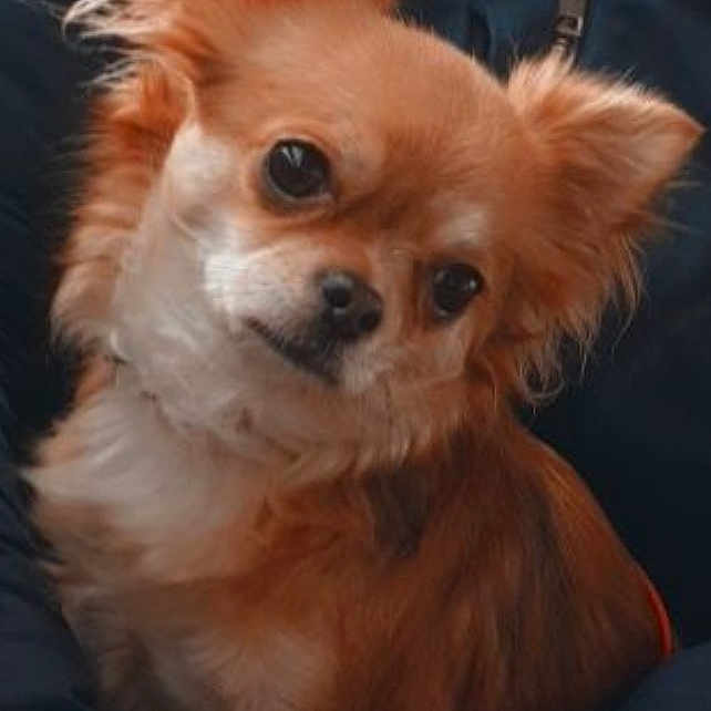 Lydie
