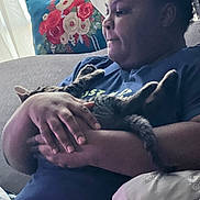 Lenny joined the competition — help win amazing prizes! person, cat, tabby_cat, indoor, couch, pillow, blanket, hand, face, relaxing, comfort, pet, animal, casual_clothing, blue_shirt, floral_pattern, home, resting, furniture, curtain