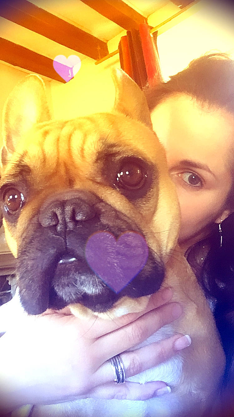 Neo participe au concours pour gagner de l'argent avec cette photo : bulldog, canidae, carnivore, cheek, companion_dog, dog, dog_breed, eye, fawn, french_bulldog, mammal, non_sporting_group, nose, organ, pug, puppy_love, selfie, skin, snout, toy_bulldog