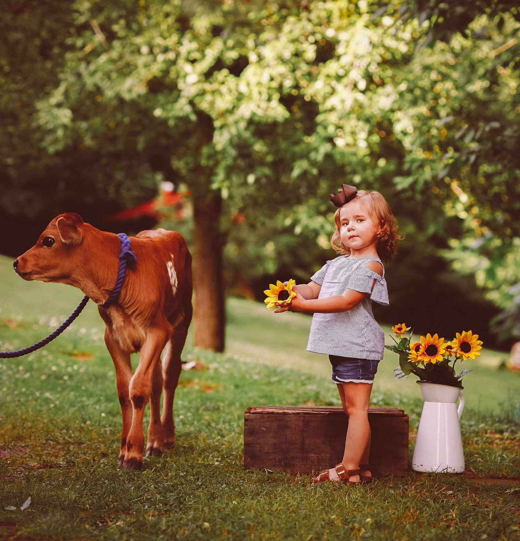 Kendalynn is registered to the contest to win money with this photo: bovine, child, daughter, dress, fawn, grass, happy, livestock, meadow, people_in_nature, person, photograph, photography, plant, play, spring, summer, sunlight, toddler, vacation