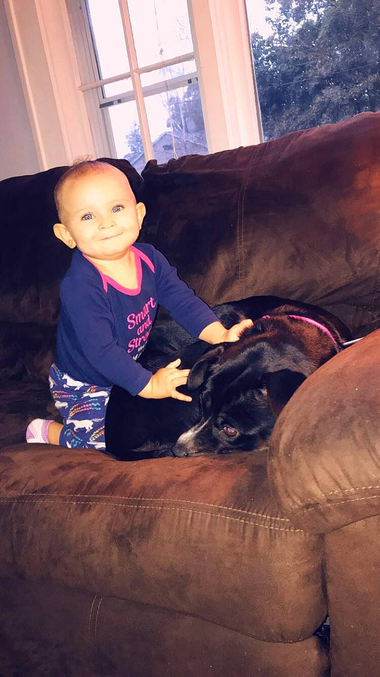 Ziyana joined the competition — help win amazing prizes! baby, canidae, child, family, fawn, guard_dog, joy, leg, non_sporting_group, people, person, play, sitting, skin, smile, toddler, vacation