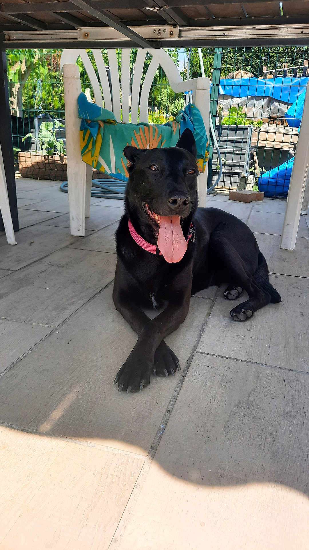 Nala