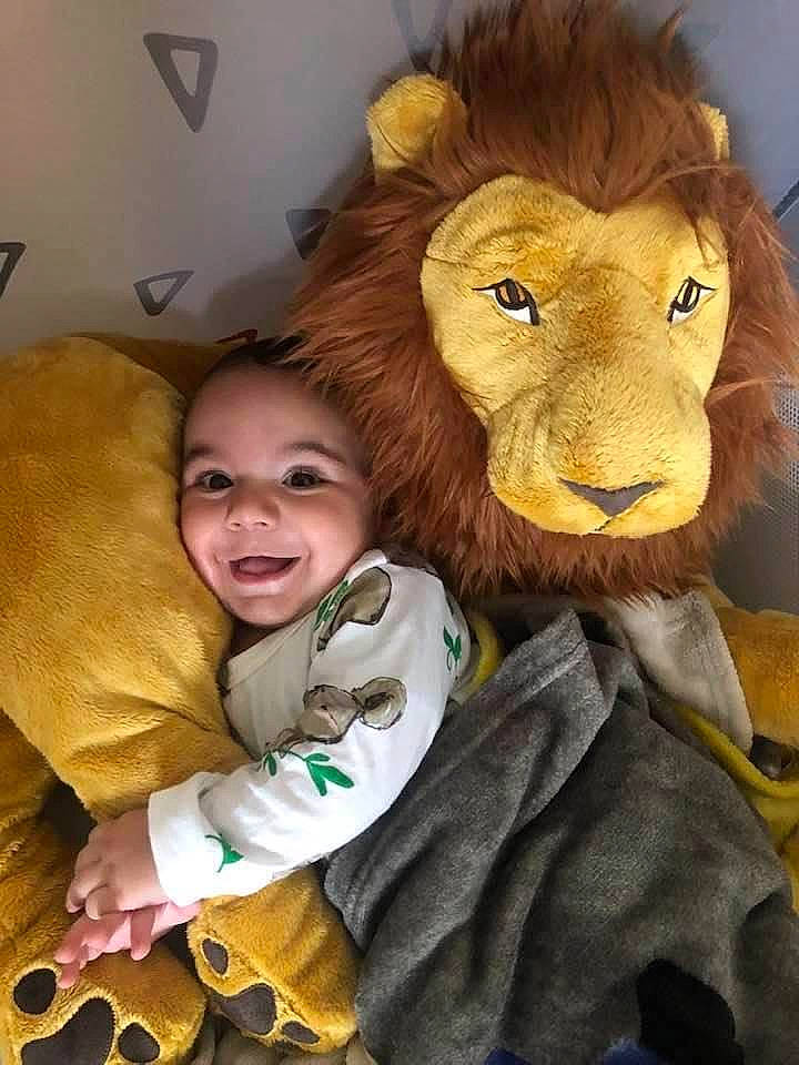 Lorenzo a rejoint le concours — aidez-le/la à gagner de superbes lots ! baby, big_cats, child, eye, fawn, fun, fur, fur_clothing, happy, head, mammal, mouth, nose, person, skin, smile, stuffed_toy, textile, toddler, vertebrate