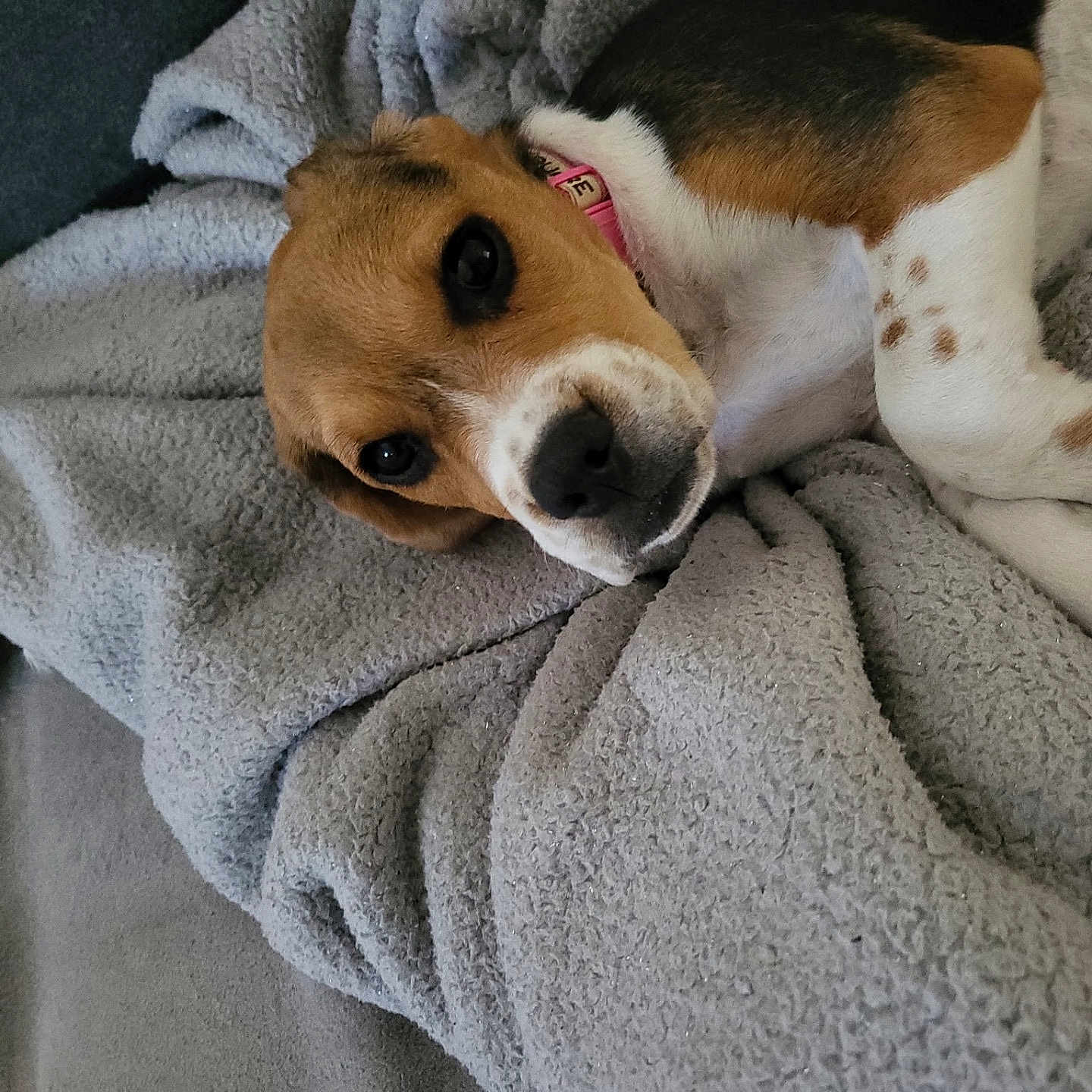 Bullie