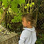 background, brick_wall, casual_clothing, child, curious, daylight, fence, girl, greenery, hair_tied_back, leaves, nature, outdoor, person, portrait, profile, side_view, standing, tree, young