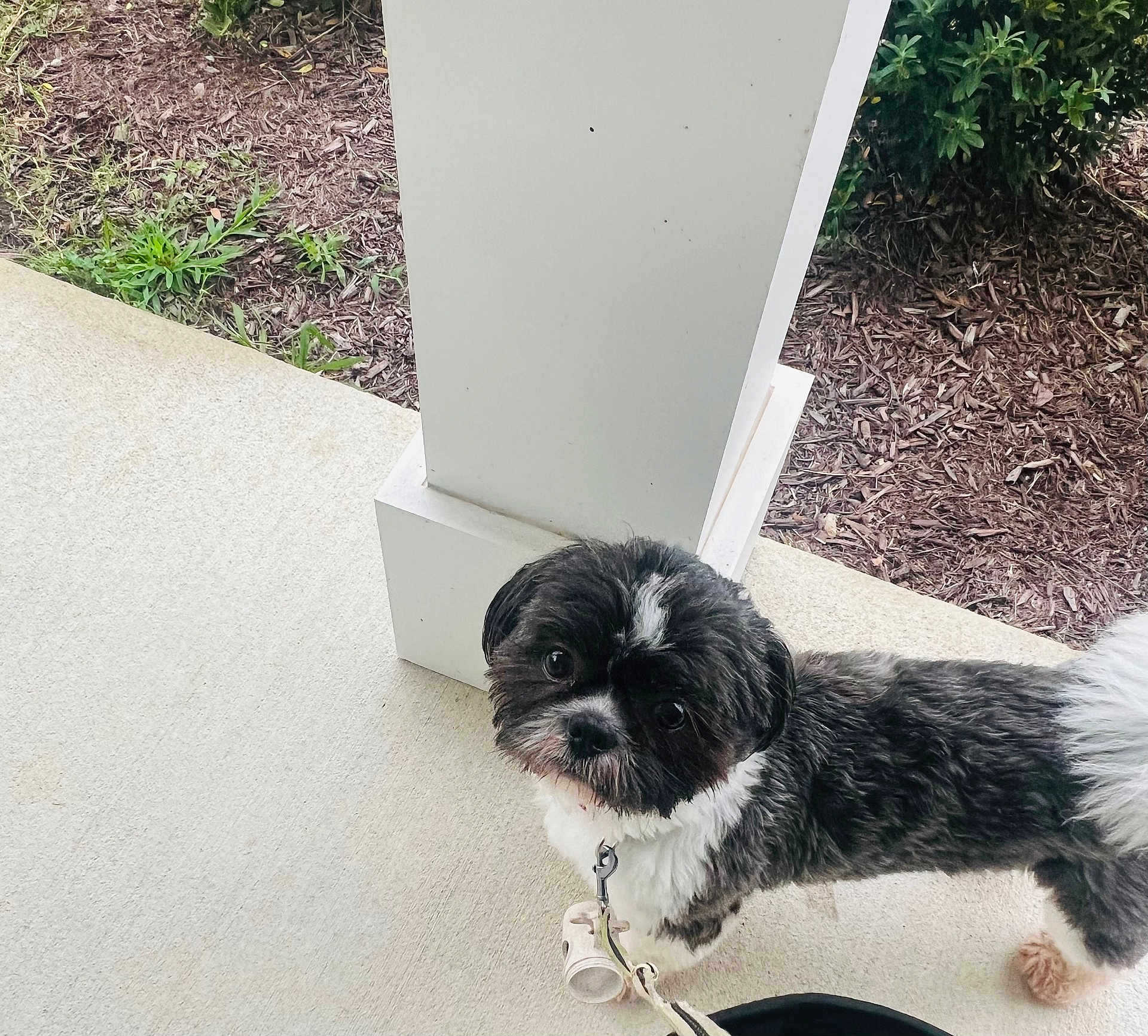 Marco