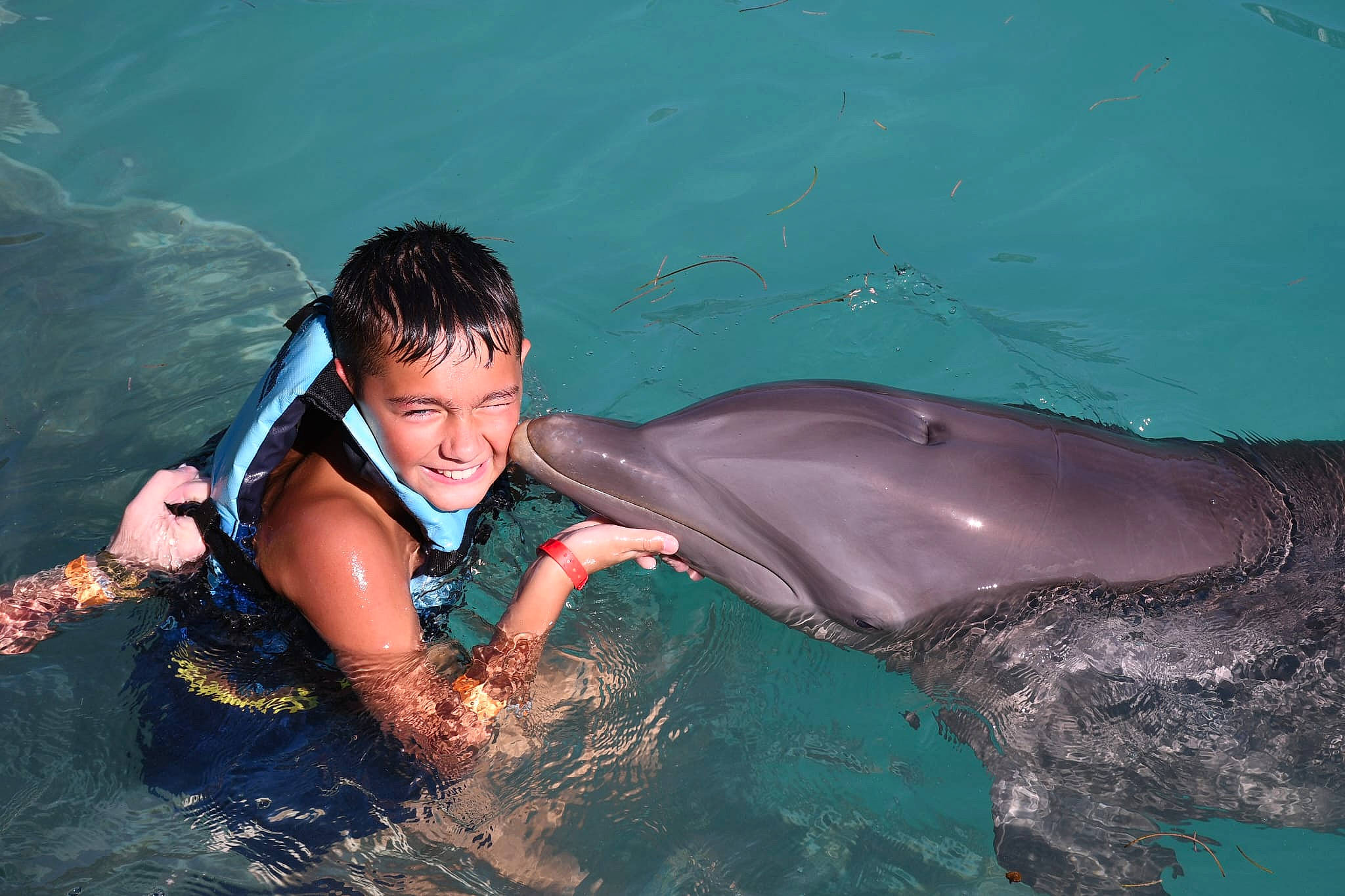 Hugo participe au concours pour gagner de l'argent avec cette photo : bottlenose_dolphin, common_bottlenose_dolphin, common_dolphins, dolphin, fin, fluid, fun, happy, joy, leisure, marine_biology, marine_mammal, person, personal_protective_equipment, recreation, shorts, smile, sports, swimwear, water