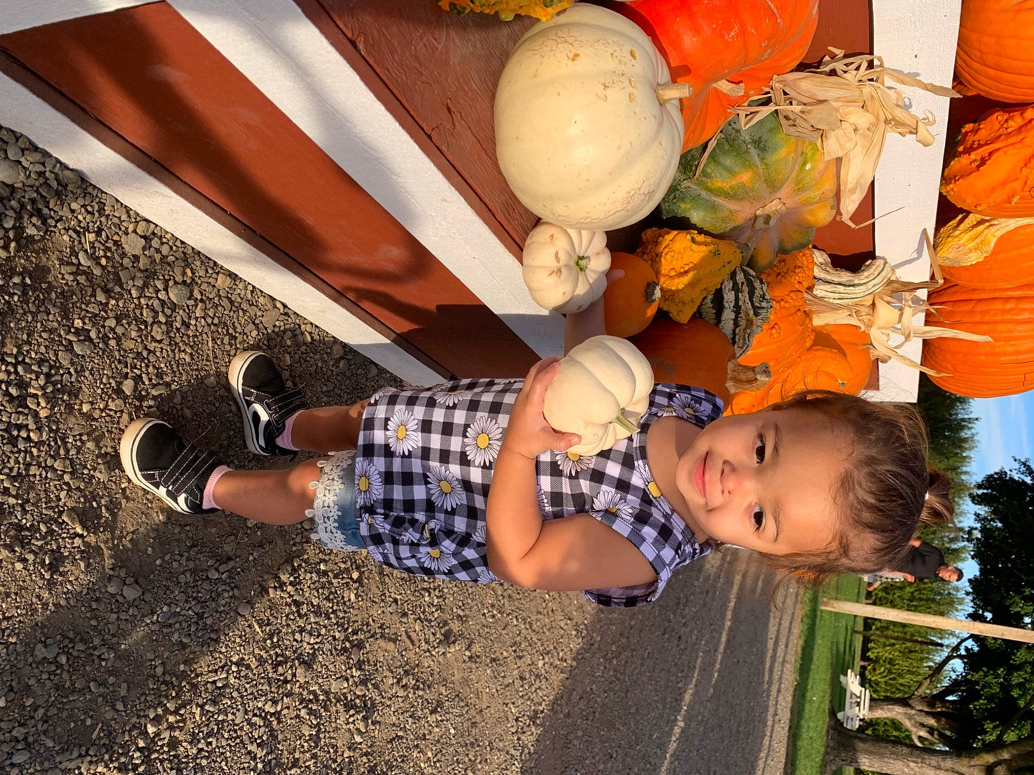 Estelle is registered to the contest to win money with this photo: baby, baby_toddler_clothing, blurred, child, flooring, fun, grass, happy, human, joy, leisure, orange, pattern, people_in_nature, person, plant, sitting, smile, soil, tints_and_shades