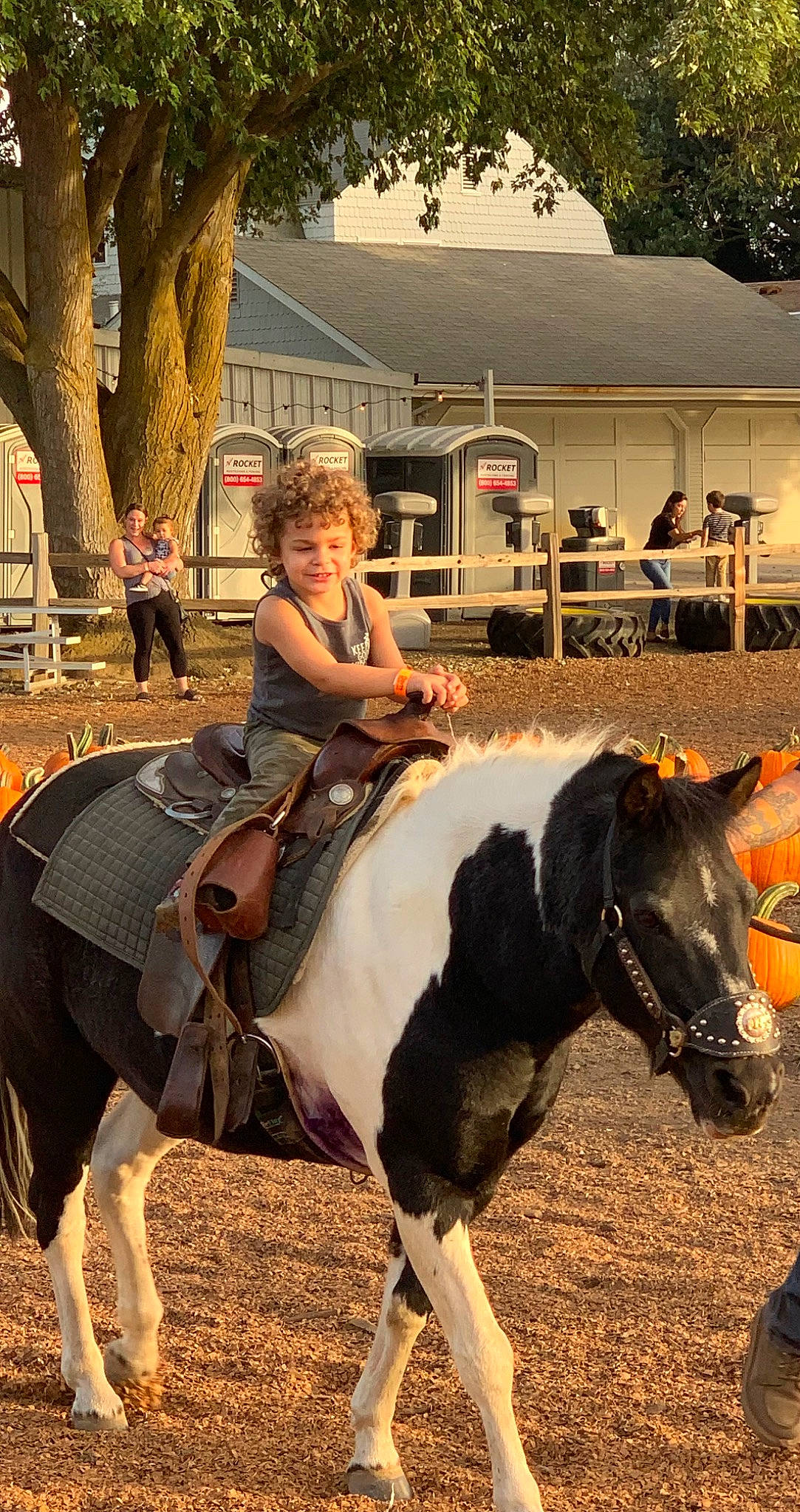 Liam is registered to the contest to win money with this photo: animal_sports, bridle, equestrian_sport, equestrianism, event, fun, hat, horse_supplies, horse_tack, joy, landscape, livestock, mane, pack_animal, person, plant, recreation, rein, saddle, sports