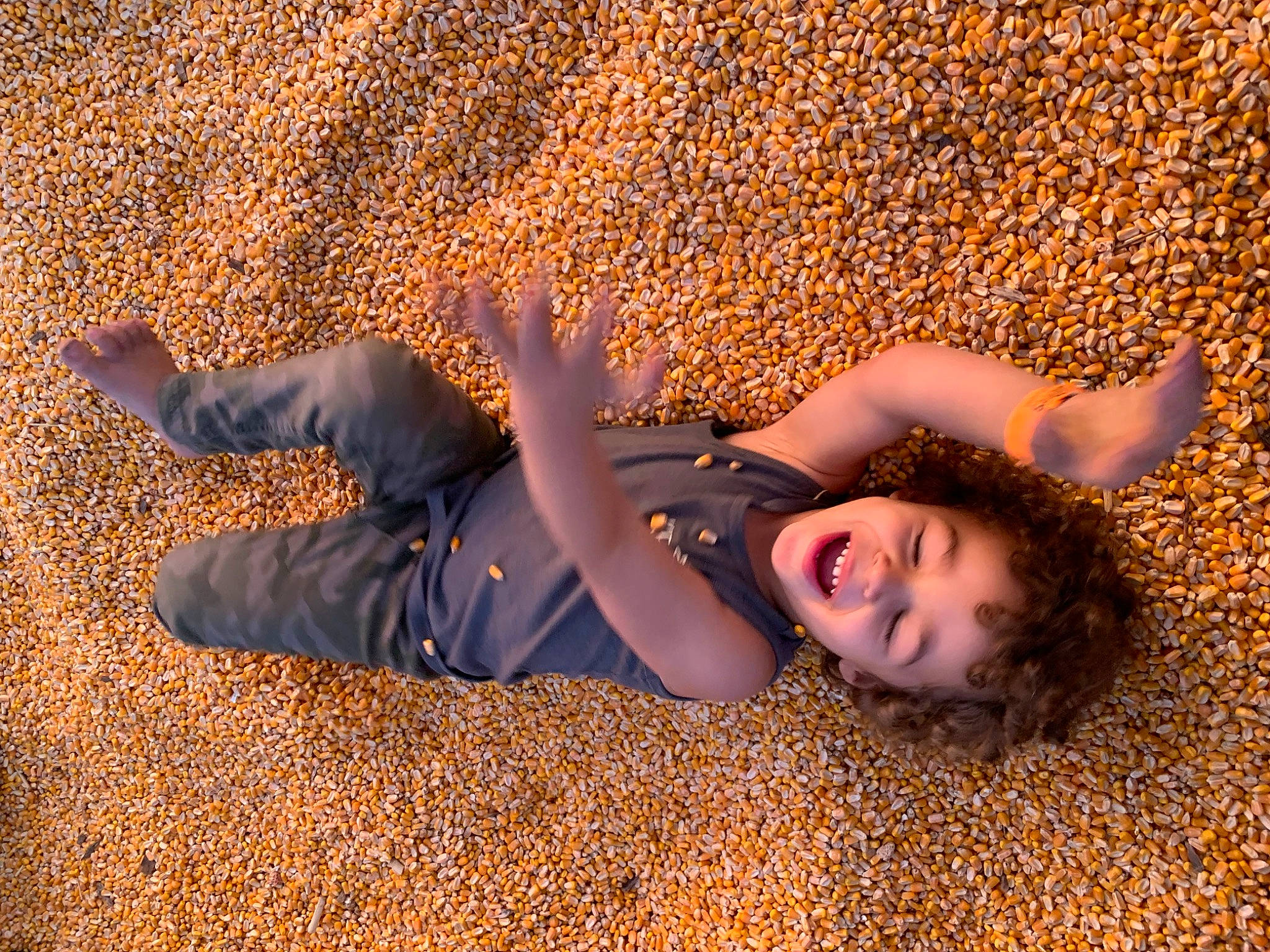 Liam is registered to the contest to win money with this photo: beauty, flash_photography, flooring, fun, grass, grass_family, happy, human_body, human_leg, landscape, leaf, leisure, people_in_nature, person, sand, shadow, smile, sunlight, tints_and_shades, tree