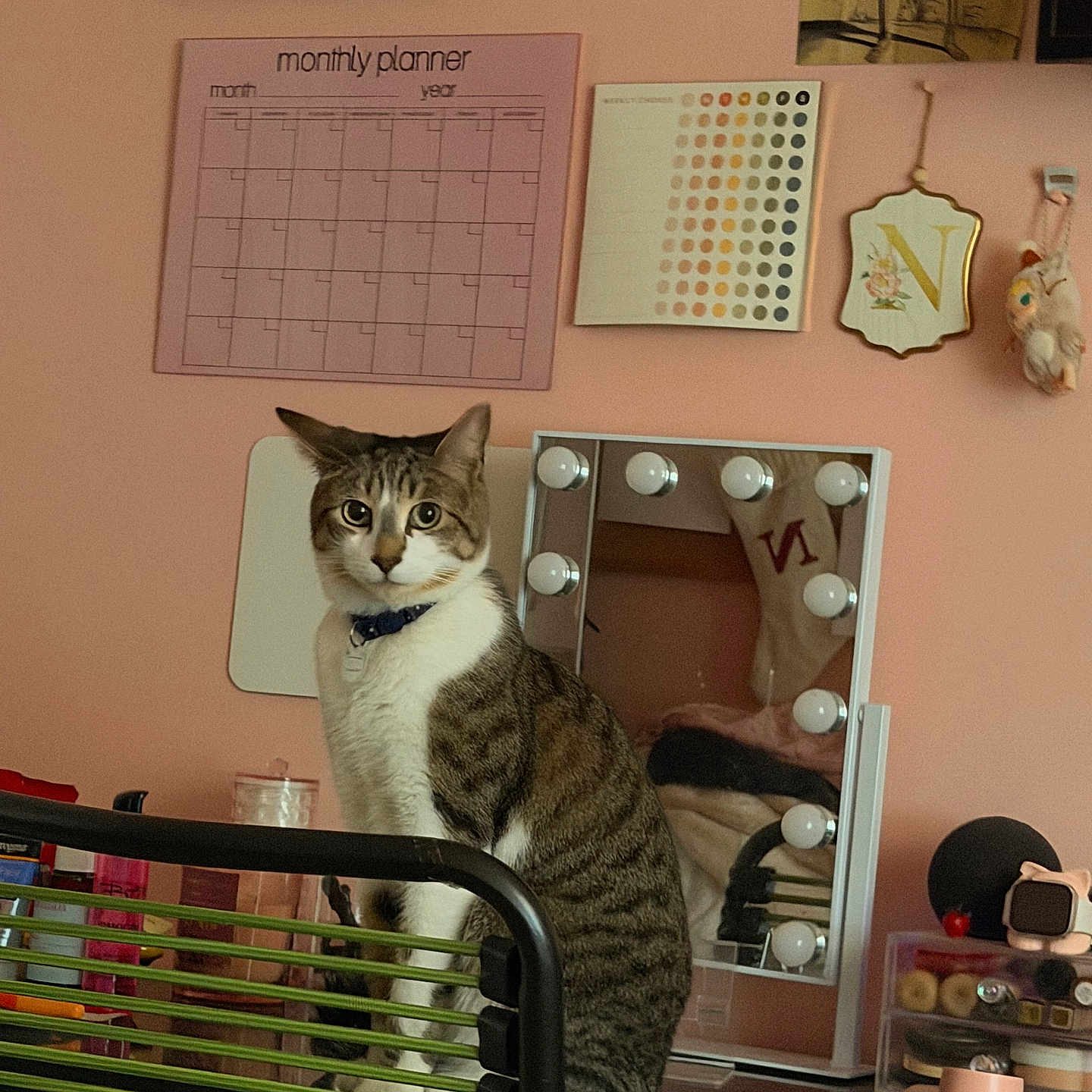 Lucky joined the competition — help win amazing prizes! cat, tabby_cat, indoor, chair, desk, mirror, vanity, lights, monthly_planner, pink_wall, decorations, collar, curious, pet, furniture, room, reflection, sitting, household, cozy