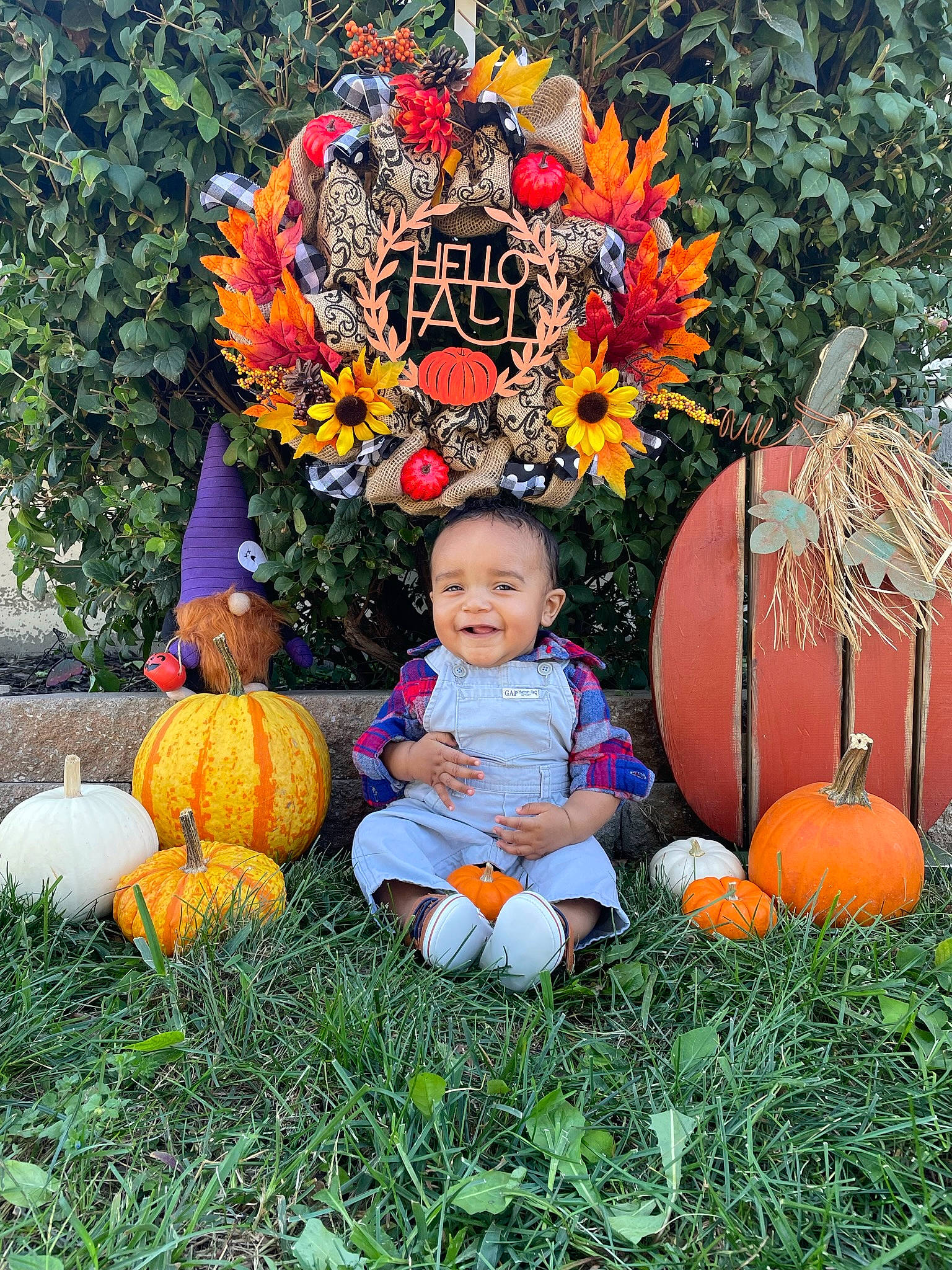 Carmelo is registered to the contest to win money with this photo: art, botany, calabaza, cucurbita, fruit, gourd, grass, happy, joy, leaf, local_food, natural_foods, orange, people_in_nature, person, plant, pumpkin, scarecrow, squash, tree
