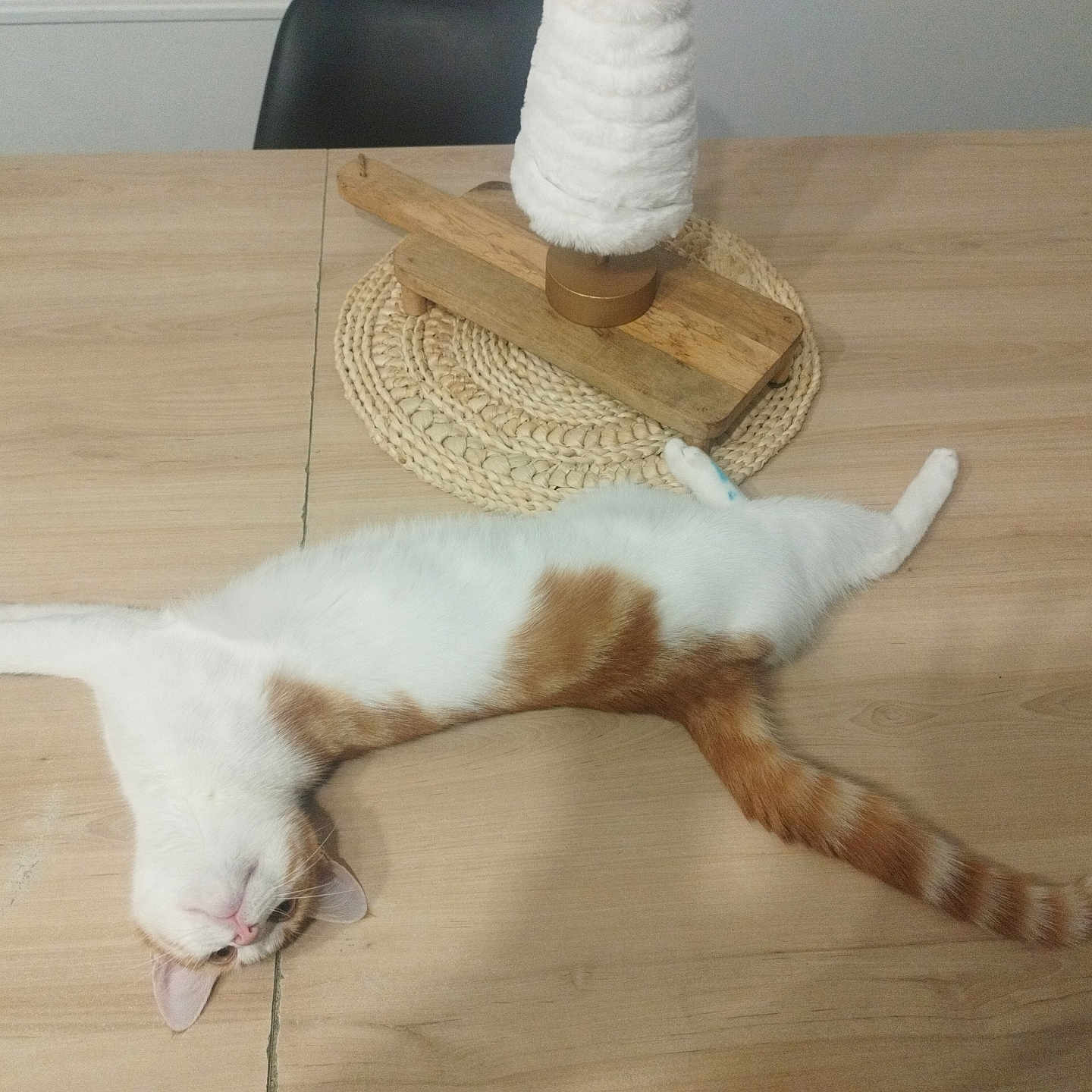 Peîo