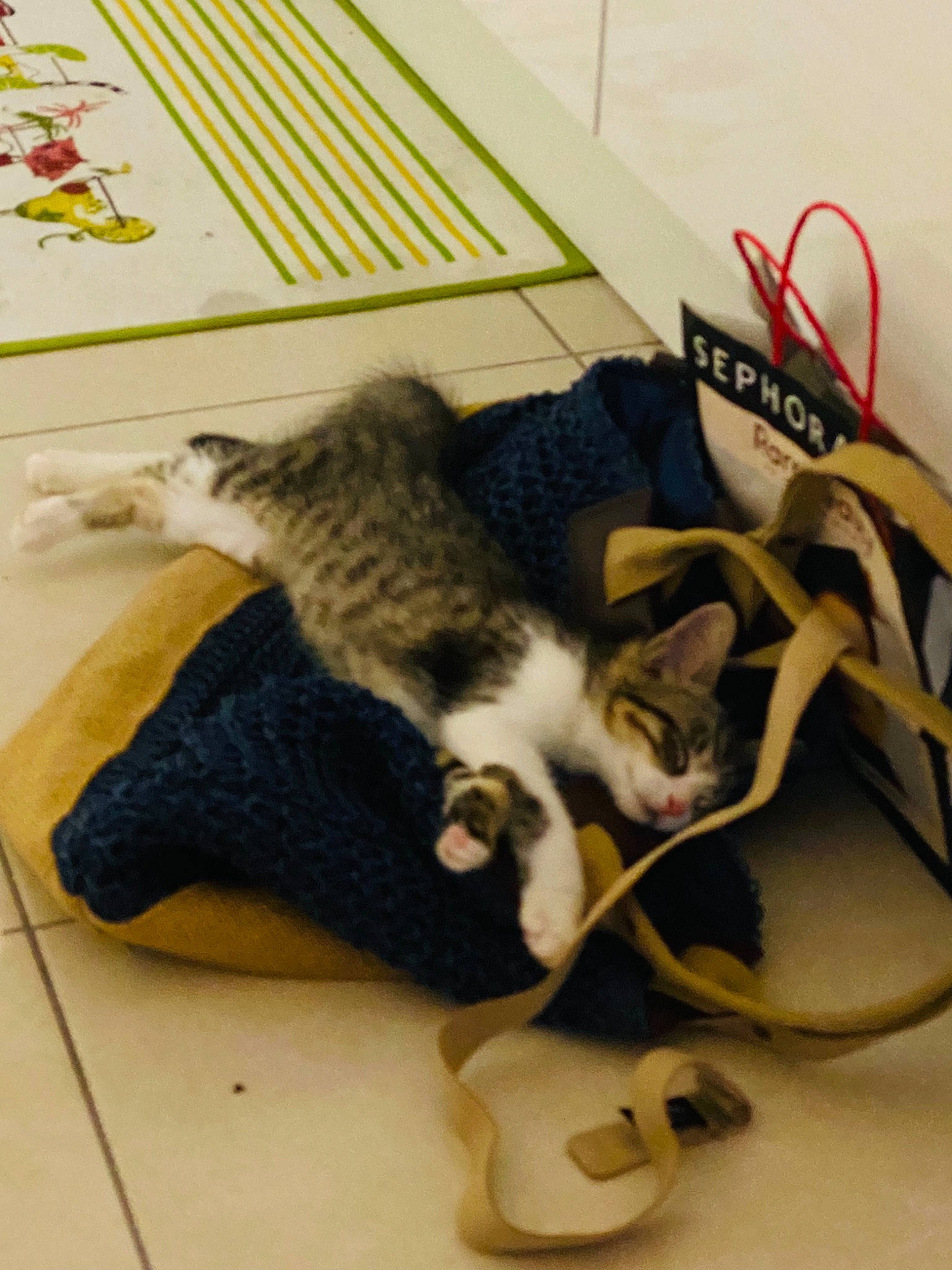 Mia a rejoint le concours — aidez-le/la à gagner de superbes lots ! audio_equipment, cable, carnivore, cat, comfort, domestic_short_haired_cat, electrical_wiring, felidae, flooring, fur, hardwood, input_device, paw, room, small_to_medium_sized_cats, tail, whiskers, wire, wood, wood_flooring