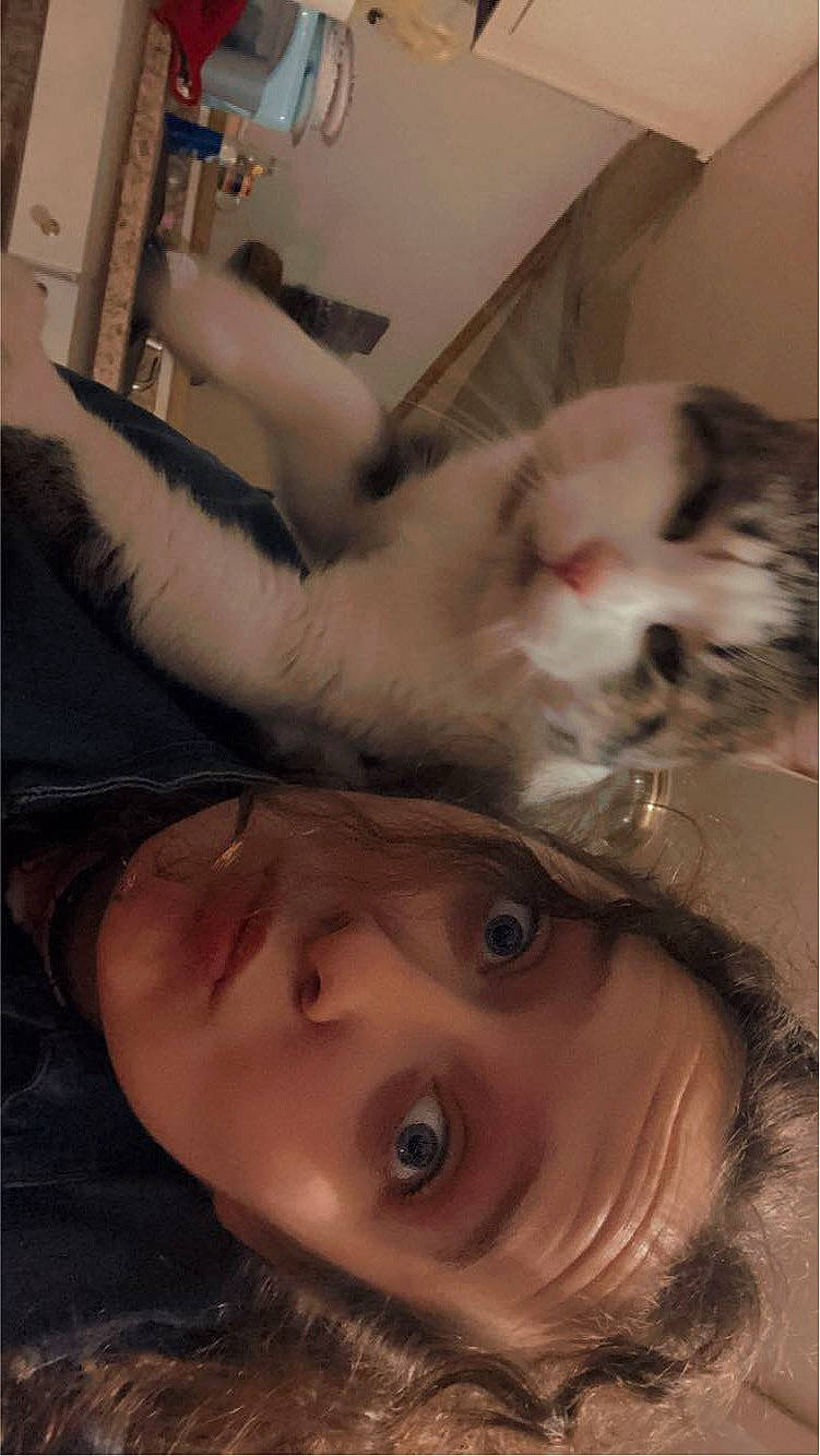 Harlow is registered to the contest to win money with this photo: cat, cheek, chest, child, ear, eyelash, fawn, felidae, fur, gesture, iris, jaw, mouth, nose, organ, selfie, skin, snapshot, snout, whiskers