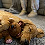 Kingston is registered to the contest to win money with this photo: dog, golden_retriever, puppy, sleeping, plush_toy, teddy_bear, carpet, indoor, cozy, blurred_background, person, pajamas, soft_texture, cute, nap, pet, animal, fur, resting, floor