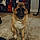 Lola