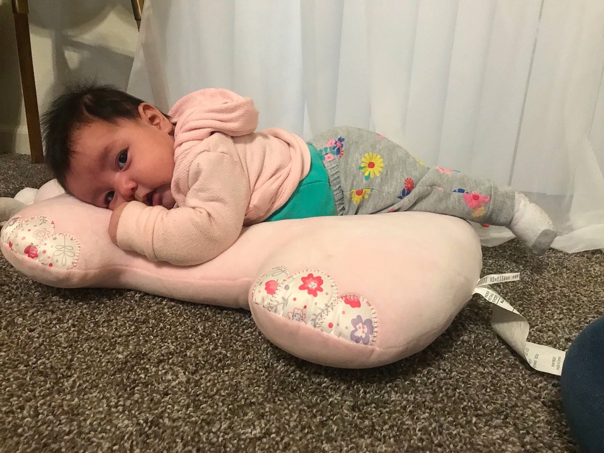 Lailani is registered to the contest to win money with this photo: arm, child, girl, infant, leg, person, product, toddler