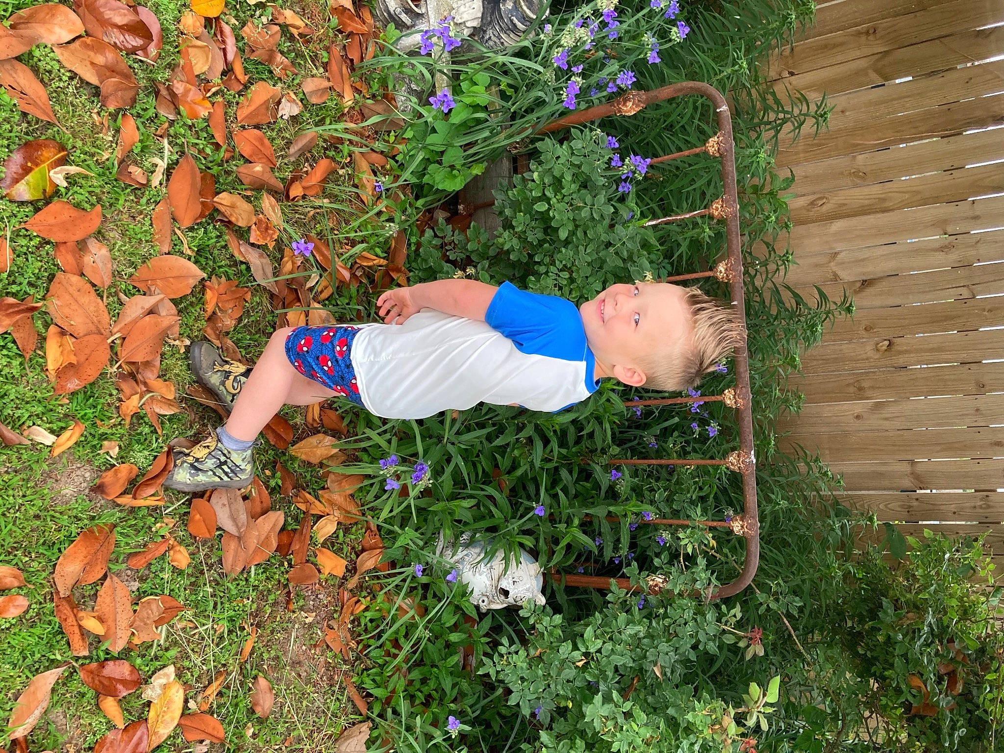 Paxton joined the competition — help win amazing prizes! annual_plant, botany, coquelicot, deciduous, electric_blue, flower, flowering_plant, fun, garden, gardening, grass, groundcover, happy, human_leg, joy, people_in_nature, person, plant, shrub, smile