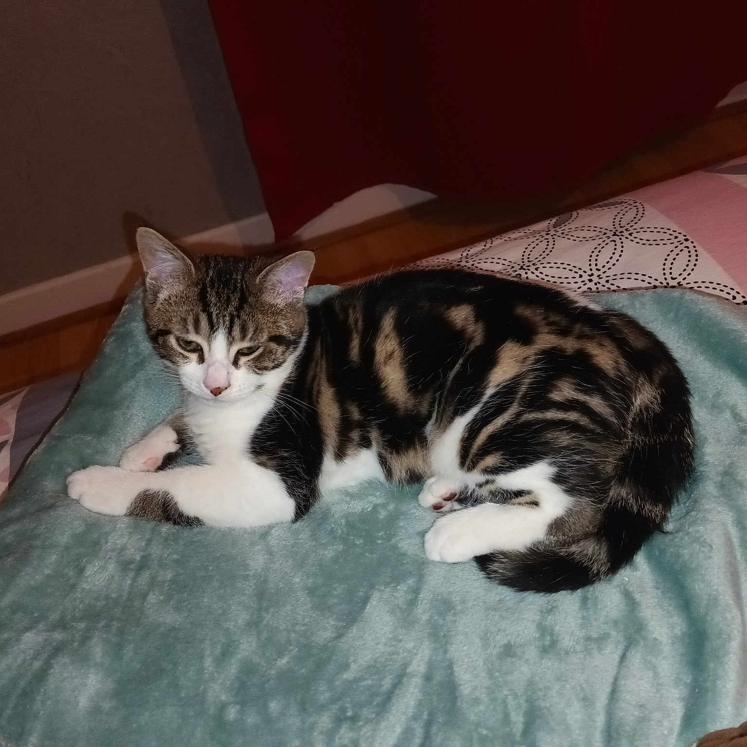 Poupette