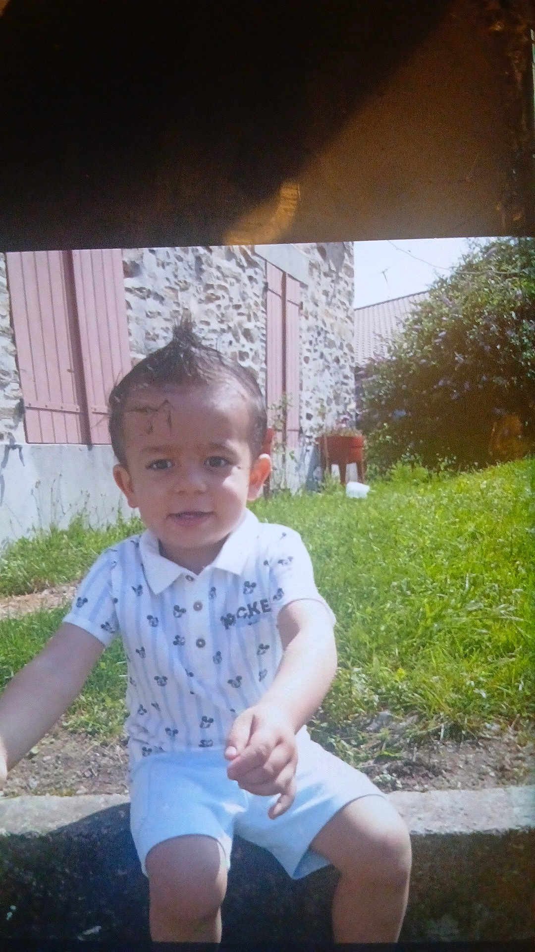 Brayton participe au concours pour gagner de l'argent avec cette photo : child, toddler, boy, sitting, grass, garden, stone_wall, shutters, shirt, shorts, smile, hair, mohawk, face, hands, legs, curb, bush, sunlight, outdoor