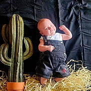 Luca is registered to the contest to win money with this photo: baby, child, infant, plush_cactus, stuffed_plant, denim_overalls, white_shirt, straw, pot, black_background, posing, flexing, cute, smiling, indoors, soft_toys, fabric, portrait, small_arms, playful