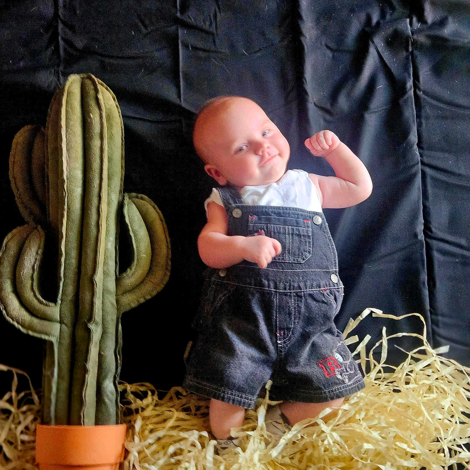 Luca is registered to the contest to win money with this photo: baby, child, infant, plush_cactus, stuffed_plant, denim_overalls, white_shirt, straw, pot, black_background, posing, flexing, cute, smiling, indoors, soft_toys, fabric, portrait, small_arms, playful