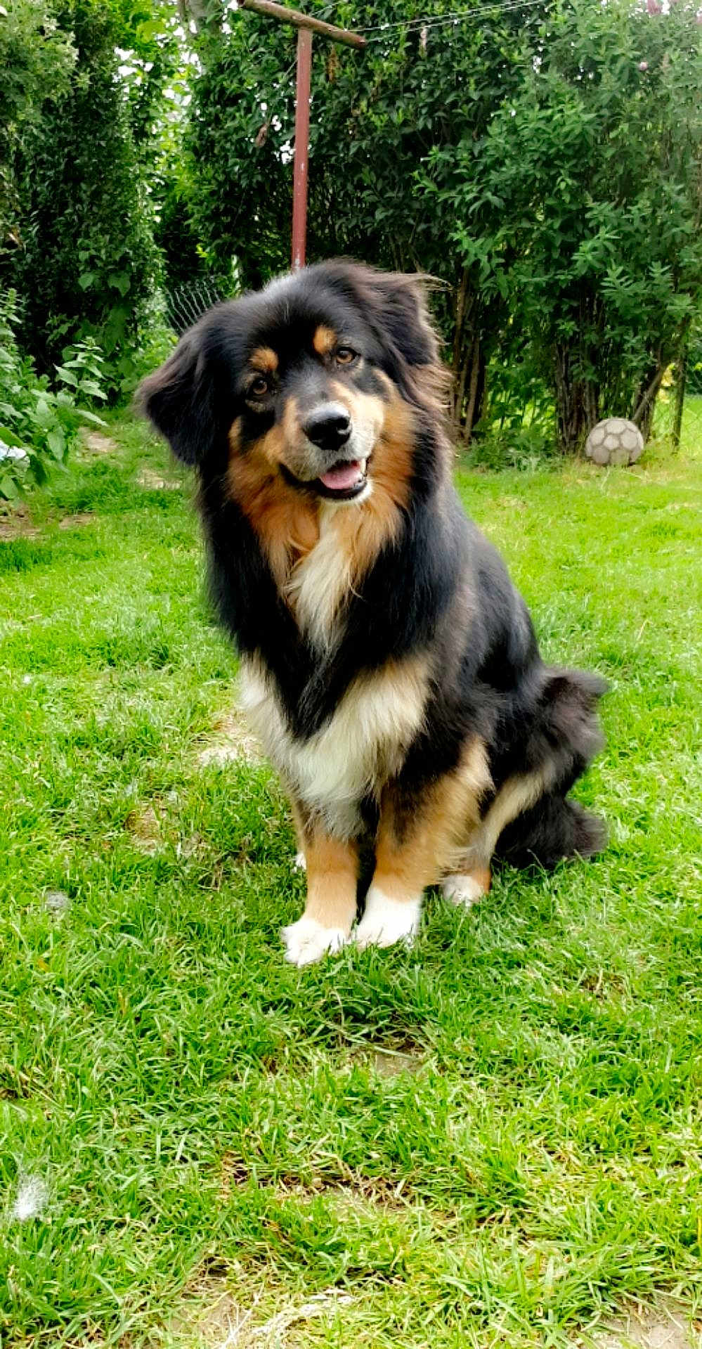 Ollya
