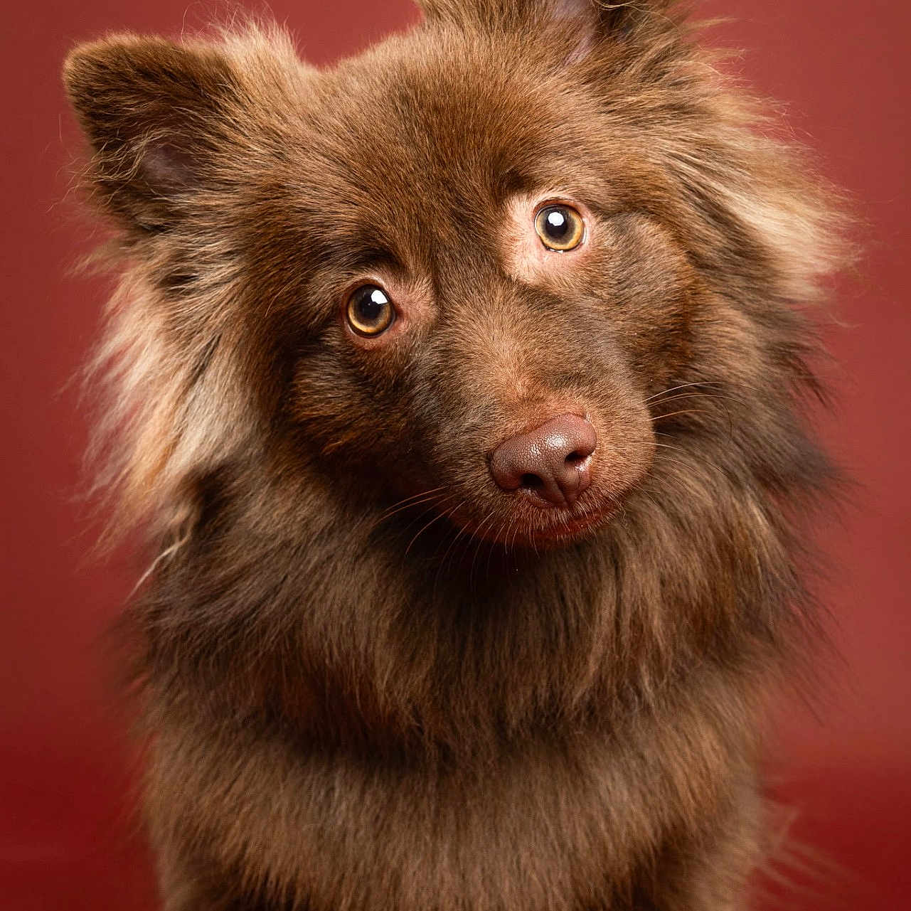 Max