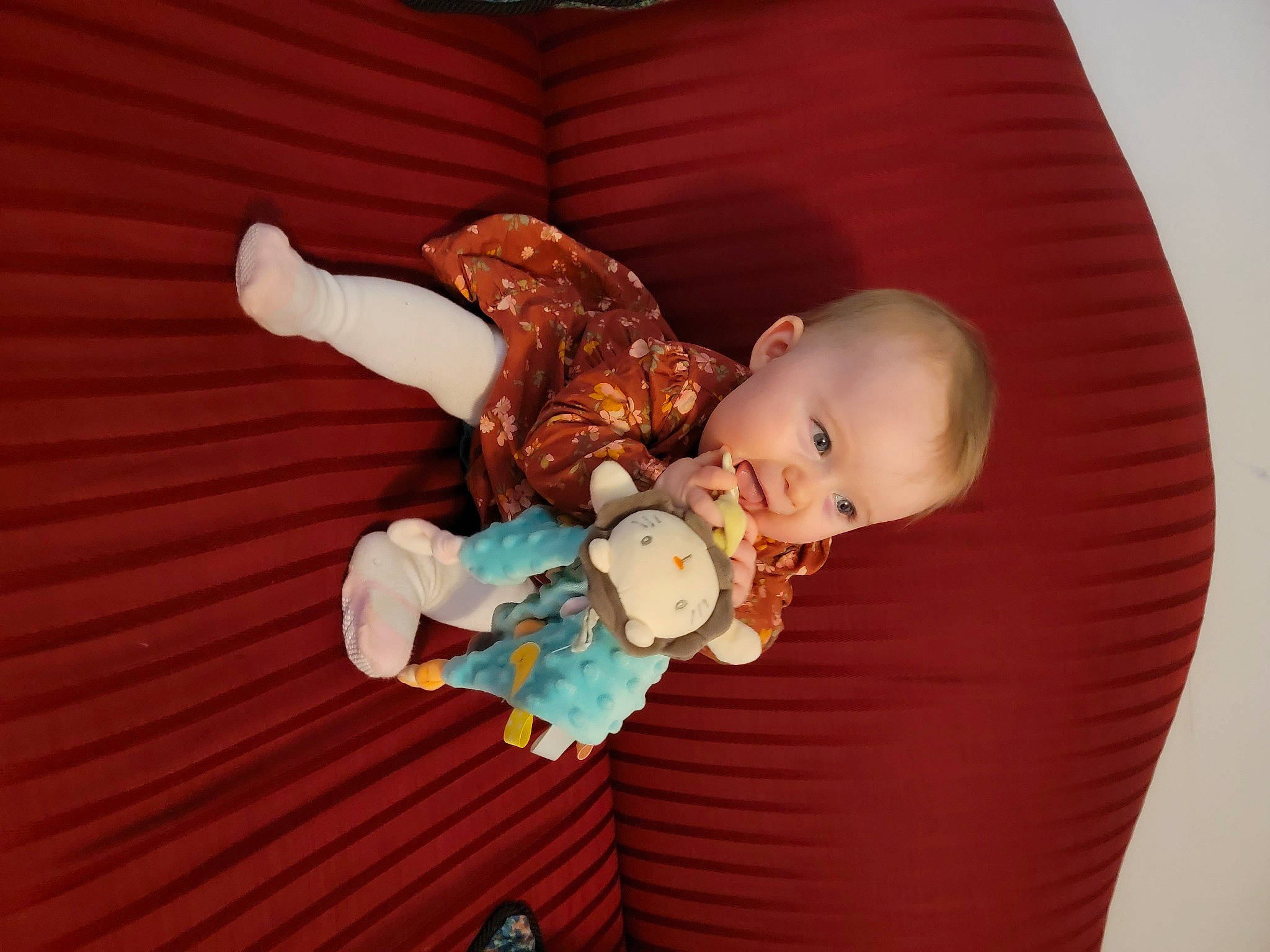 Rosabella joined the competition — help win amazing prizes! baby, baby_products, baby_toddler_clothing, baby_toys, cheek, child, comfort, doll, eye, flooring, fun, happy, hardwood, lap, person, room, sitting, stuffed_toy, toddler, toy