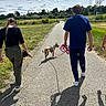 back_view, blue_shirt, casual_clothing, clouds, dog, grass, greenery, leash, nature, outdoor, path, pavement, person, power_lines, shadow, sky, summer, sunlight, walking, walking_path