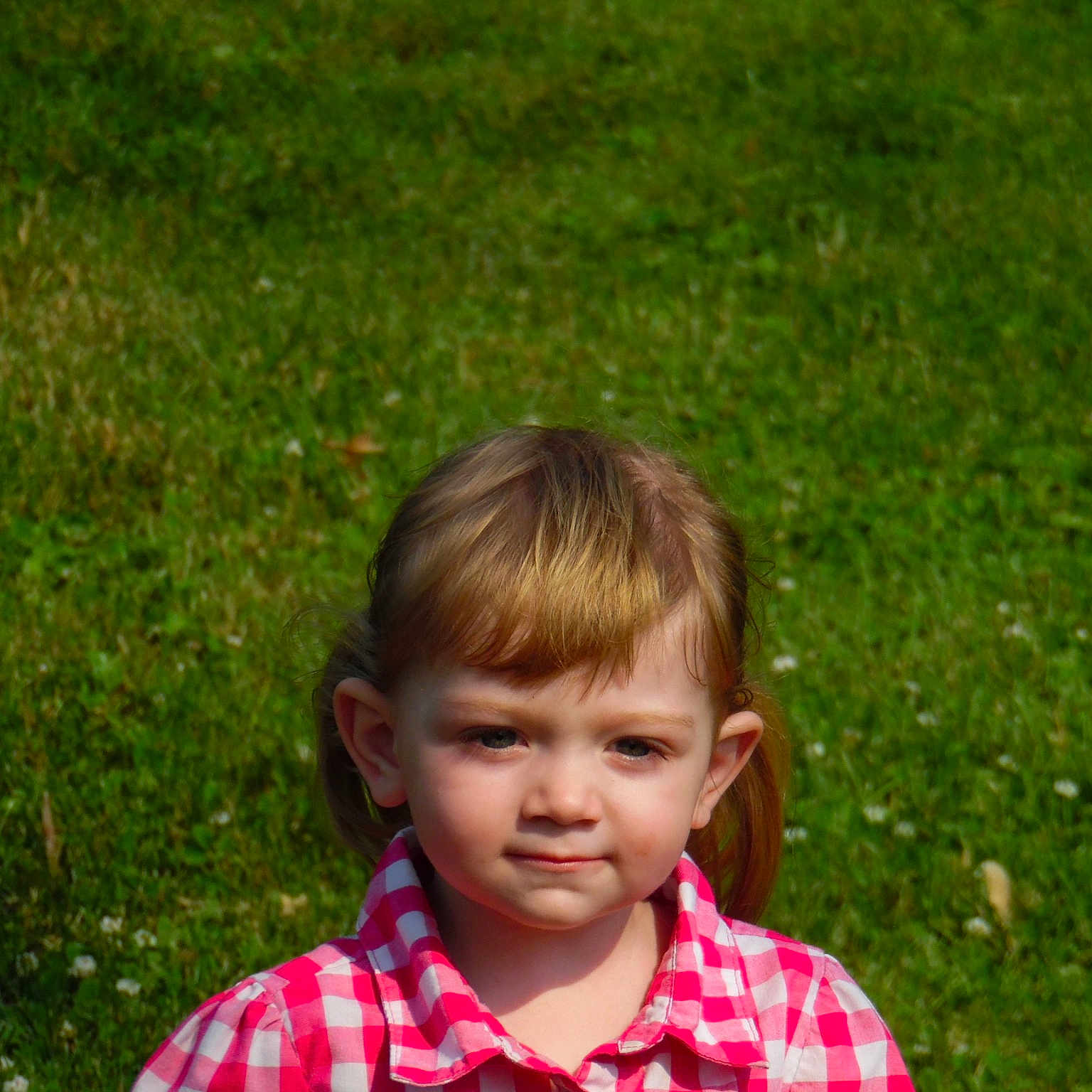 Artemis joined the competition — help win amazing prizes! child, face, facial_expression, fun, grass, green, hair, head, lawn, leaf, male, meadow, nature, nose, people, person, photograph, play, red, skin