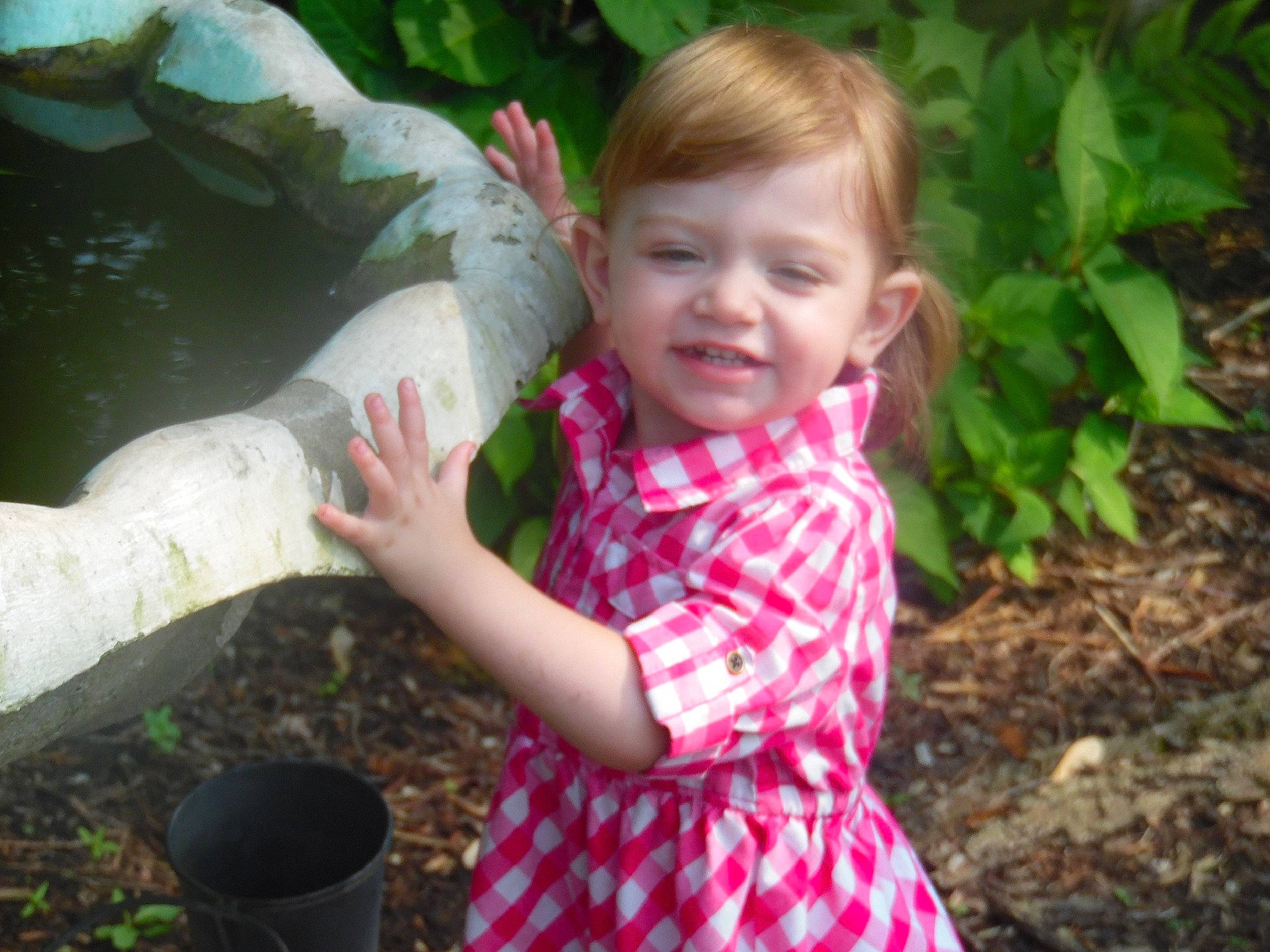 Artemis joined the competition — help win amazing prizes! adaptation, child, person, pink, plant, play, smile, toddler