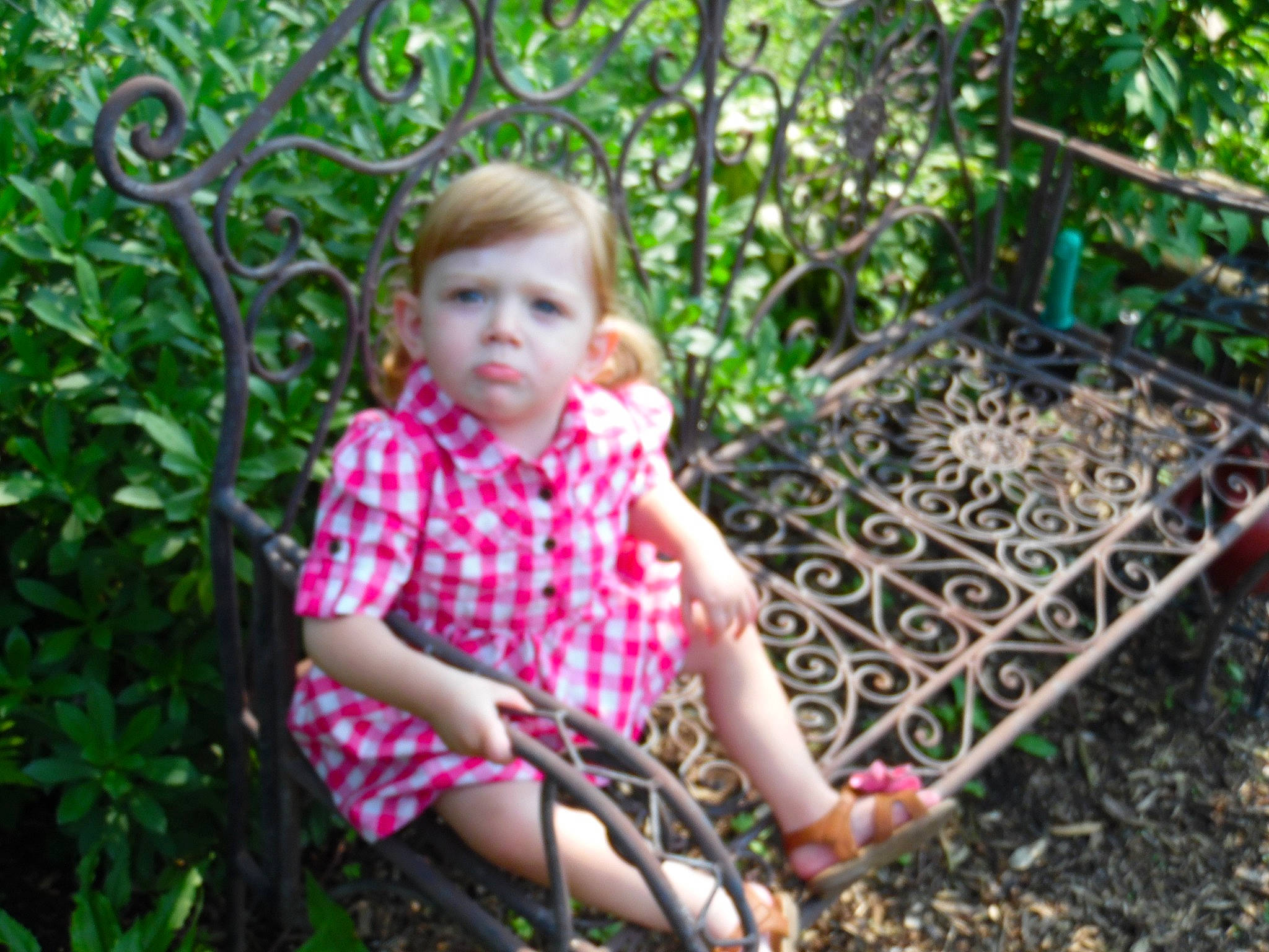 Artemis is registered to the contest to win money with this photo: adaptation, backyard, botany, child, fawn, garden, grass, grass_family, jungle, leaf, person, plant, play, sitting, summer, toddler, tree, vacation