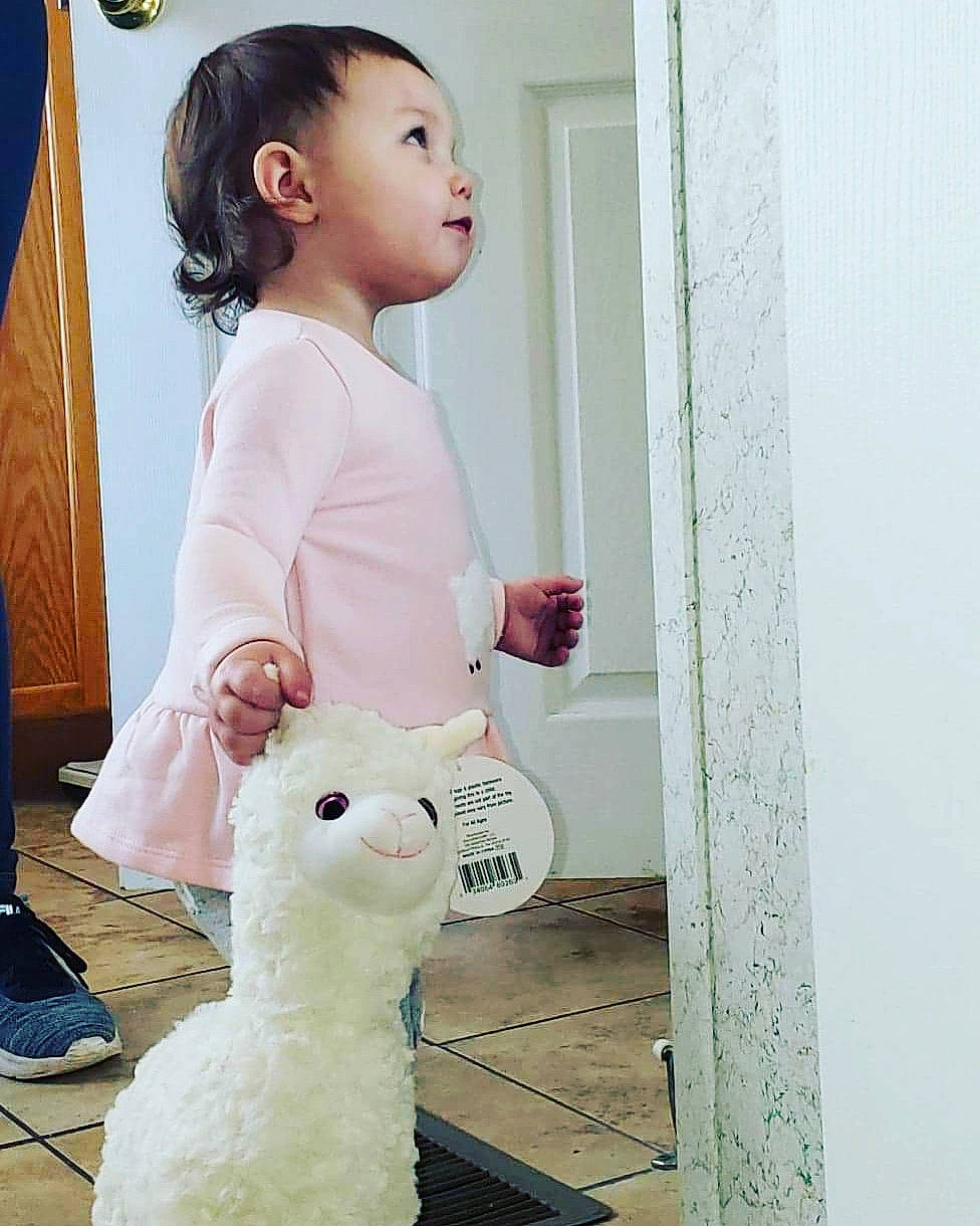 Cynthia is registered to the contest to win money with this photo: baby, beauty, child, dress, ear, neck, person, plush, room, skin, stuffed_toy, toddler, toy