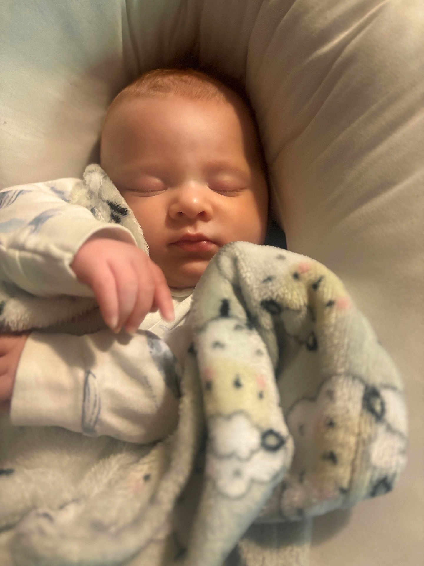 Colson joined the competition — help win amazing prizes! baby, sleeping, blanket, soft, cozy, infant, resting, cushion, comfort, warm, child, cute, indoors, peaceful, closeup, portrait, hand, clothing, fabric, relaxation