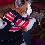 Emmy joined the competition — help win amazing prizes! cat, pet, striped_clothing, teddy_bear, backpack, indoor, cozy, furniture, floor, curious, orange_and_white, animal_clothing, cute, domestic_cat, fur, whiskers, person_leg, casual, home, sitting